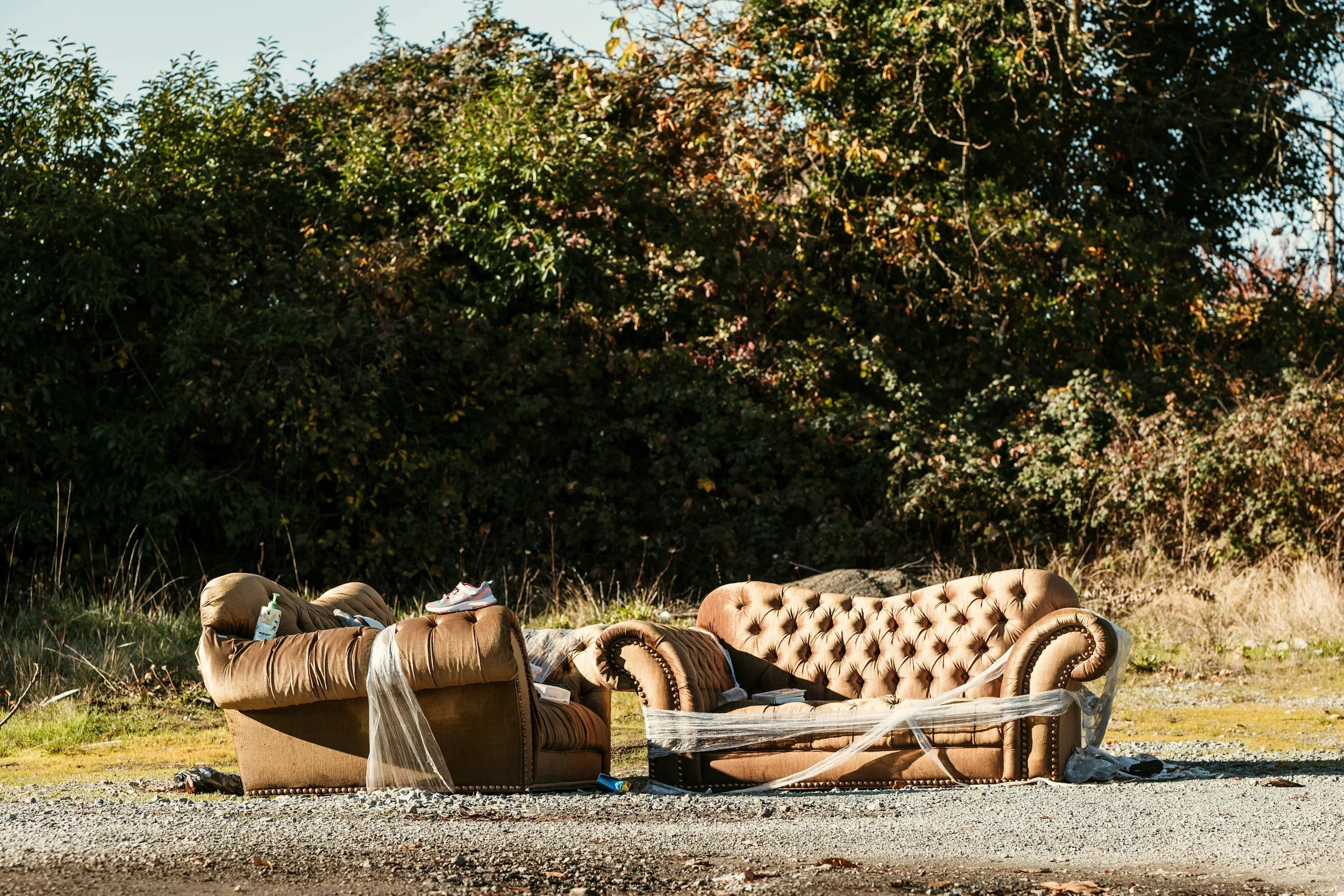 Outdoors, two worn-out sofas are on a patch of grass and gravel, with a pair of sneakers on one sofa and some trash. A thick green bush and trees with some autumn-colored leaves are in the background, under a clear sky.
