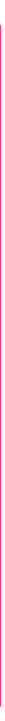 A blank vertical pink banner.