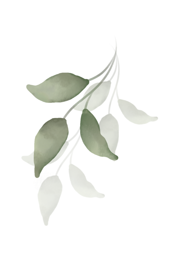 Sprig of eucalyptus leaves with small yellow flowers.
