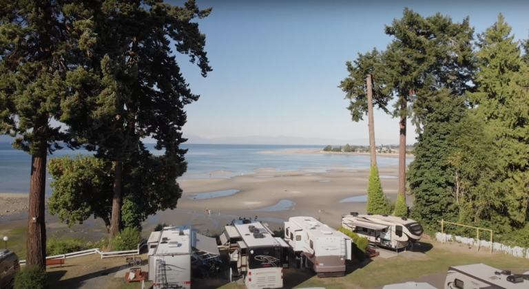 RV campers parked near a beach with trees, water, and sand in the background