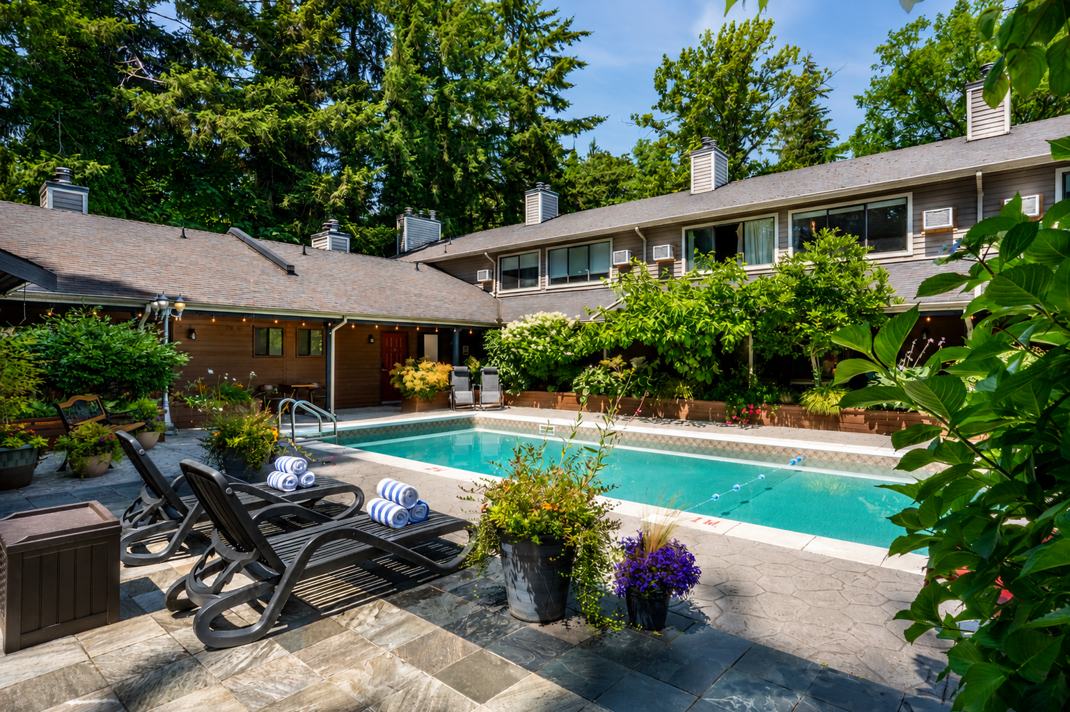 A backyard with a swimming pool surrounded by lounge chairs, potted plants, and greenery, with a house in the background and trees overhead.