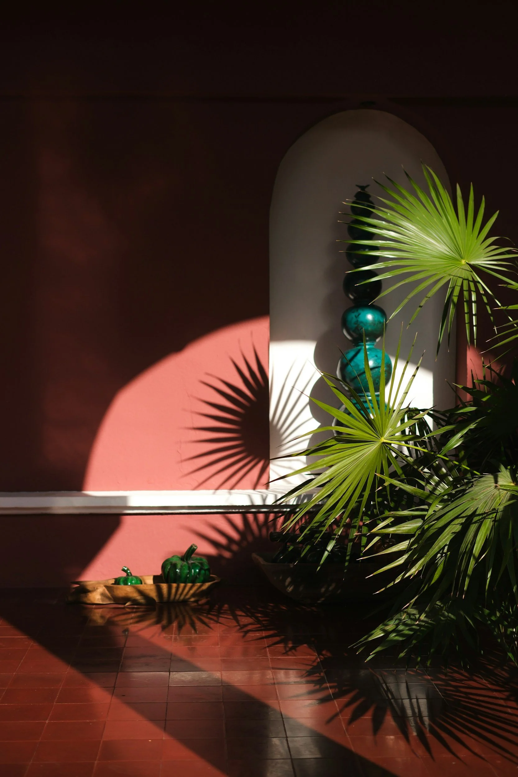 Sunlight creates shadows of palm leaves on a pink wall, with a large potted plant with green fronds and decorative objects with reflective surfaces casting shadows on the wall.