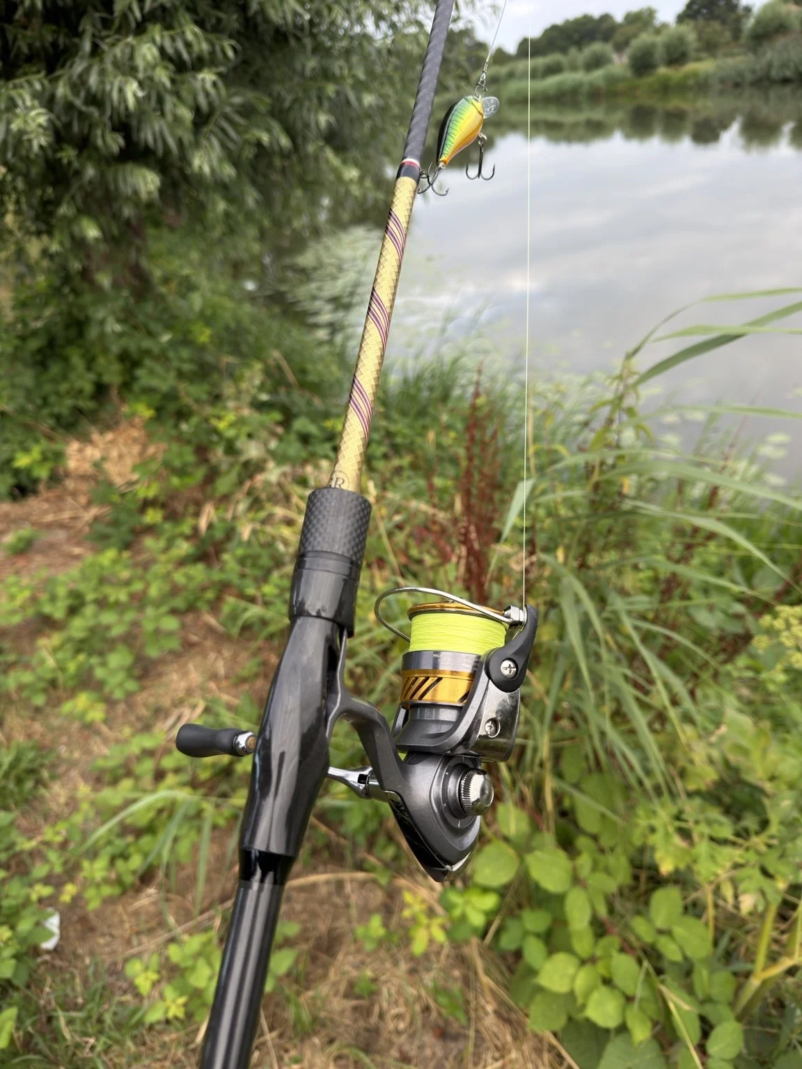 IMG_2655(2).jpeg