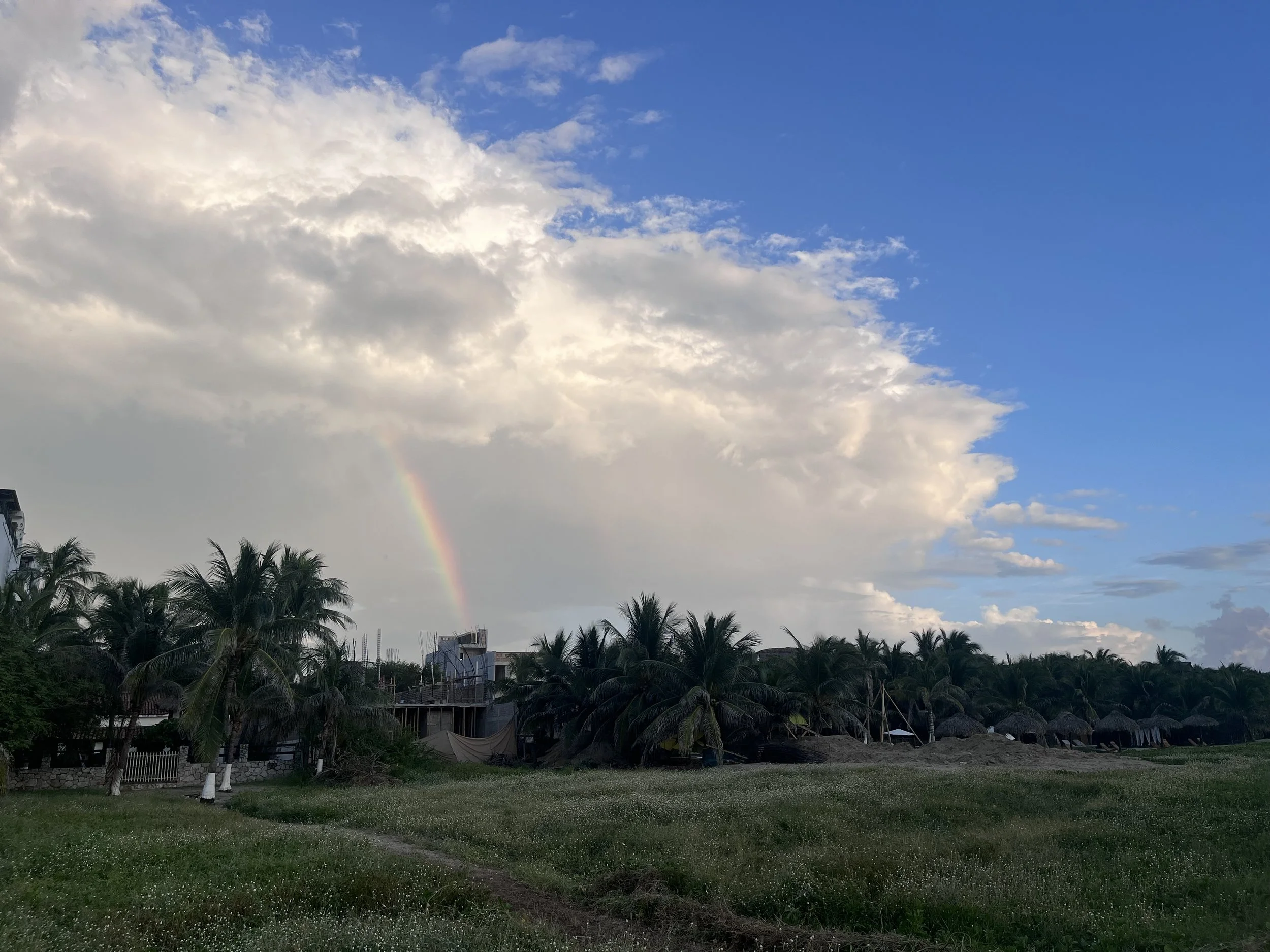 IMG_5220.jpeg