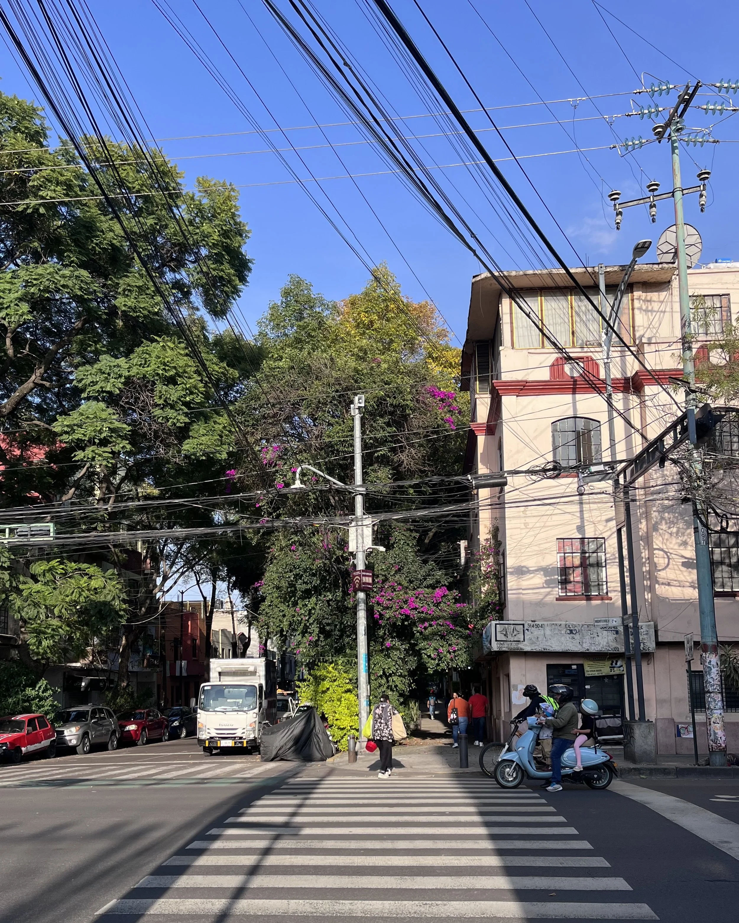 IMG_4714.jpeg