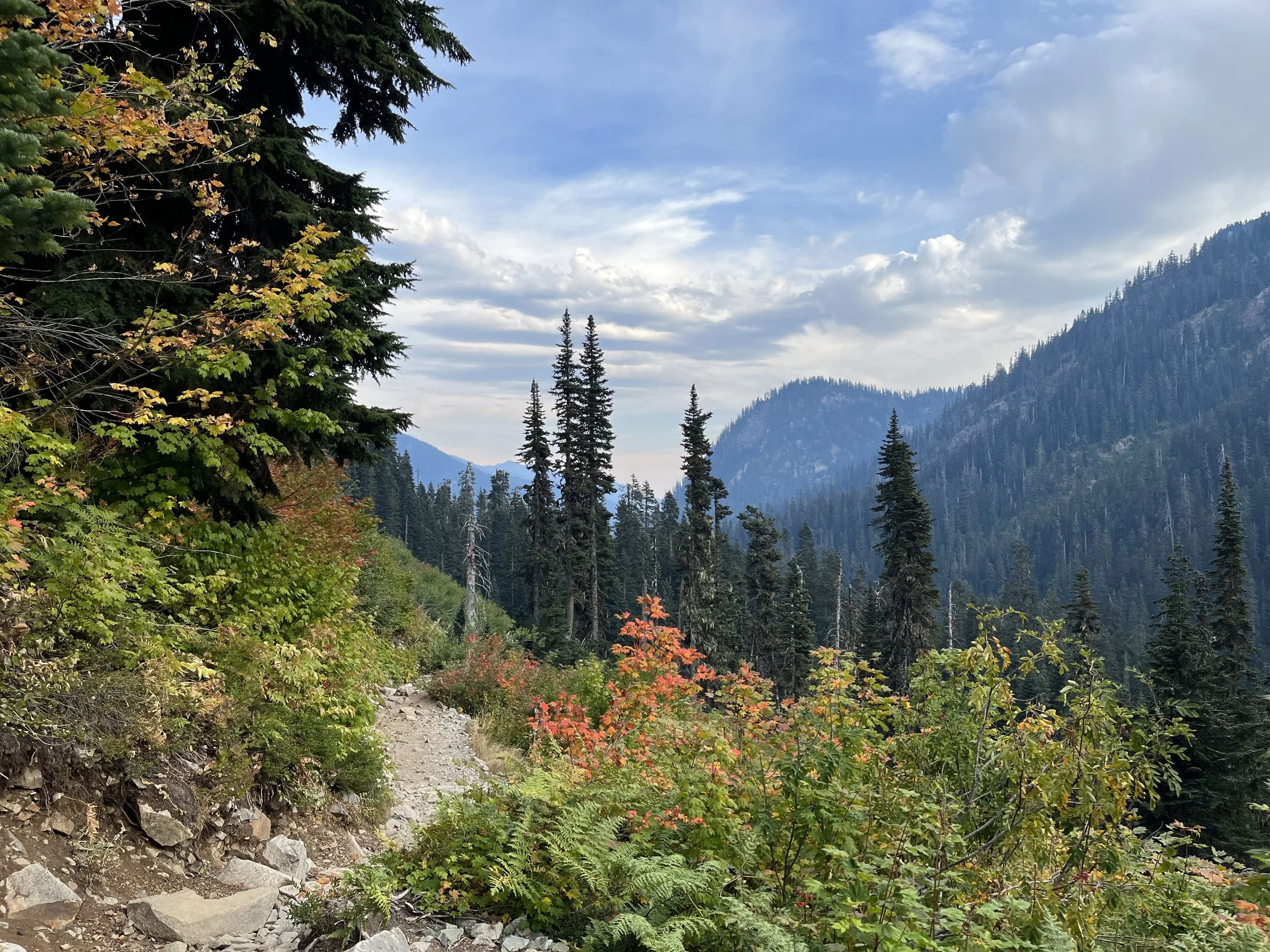 The Pacific Northwest