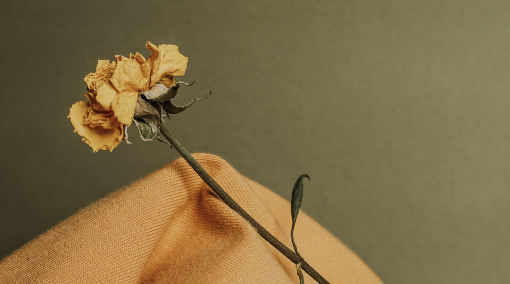 Why Dearly Worn?