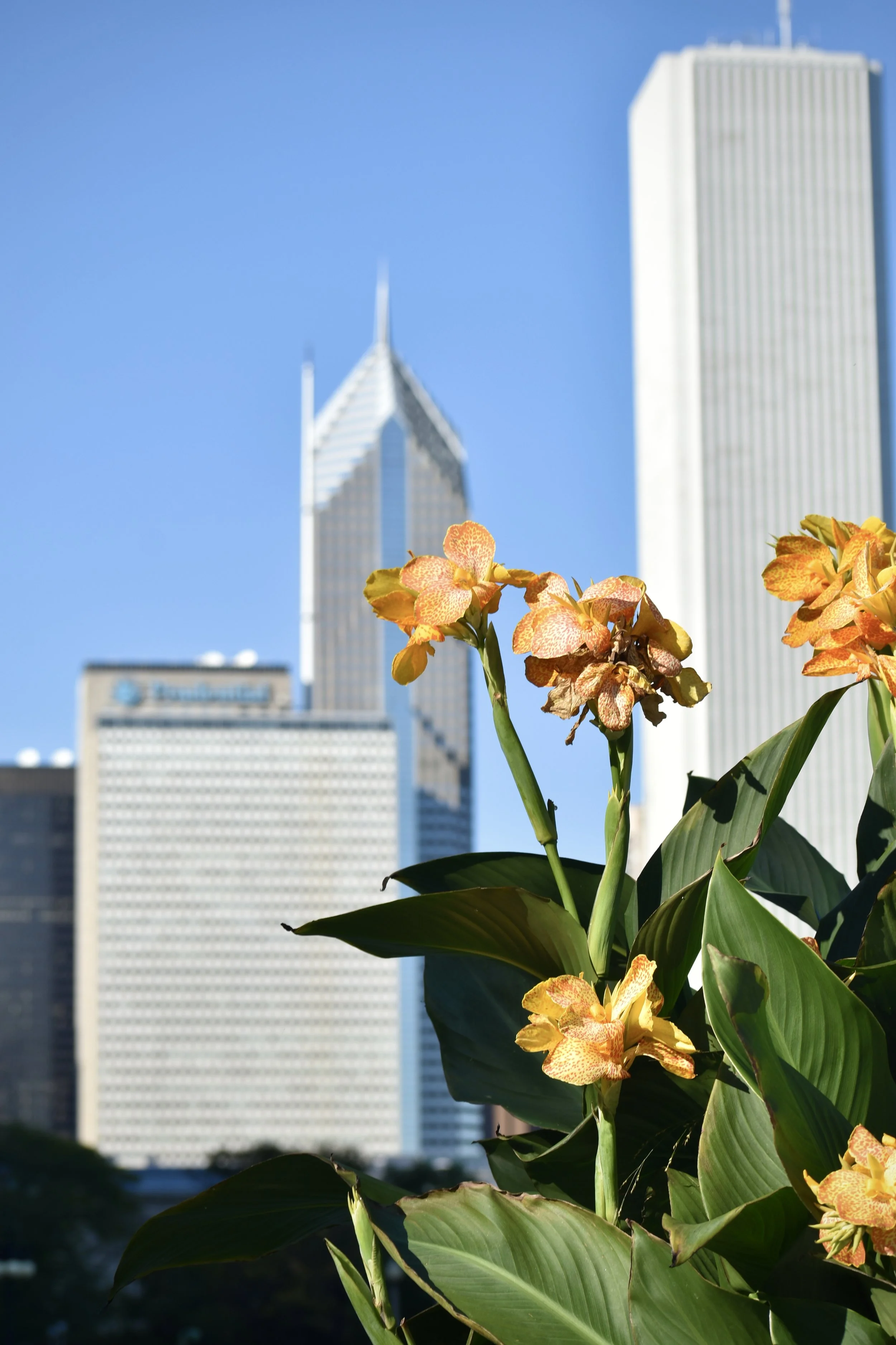 DSC_0142.jpg