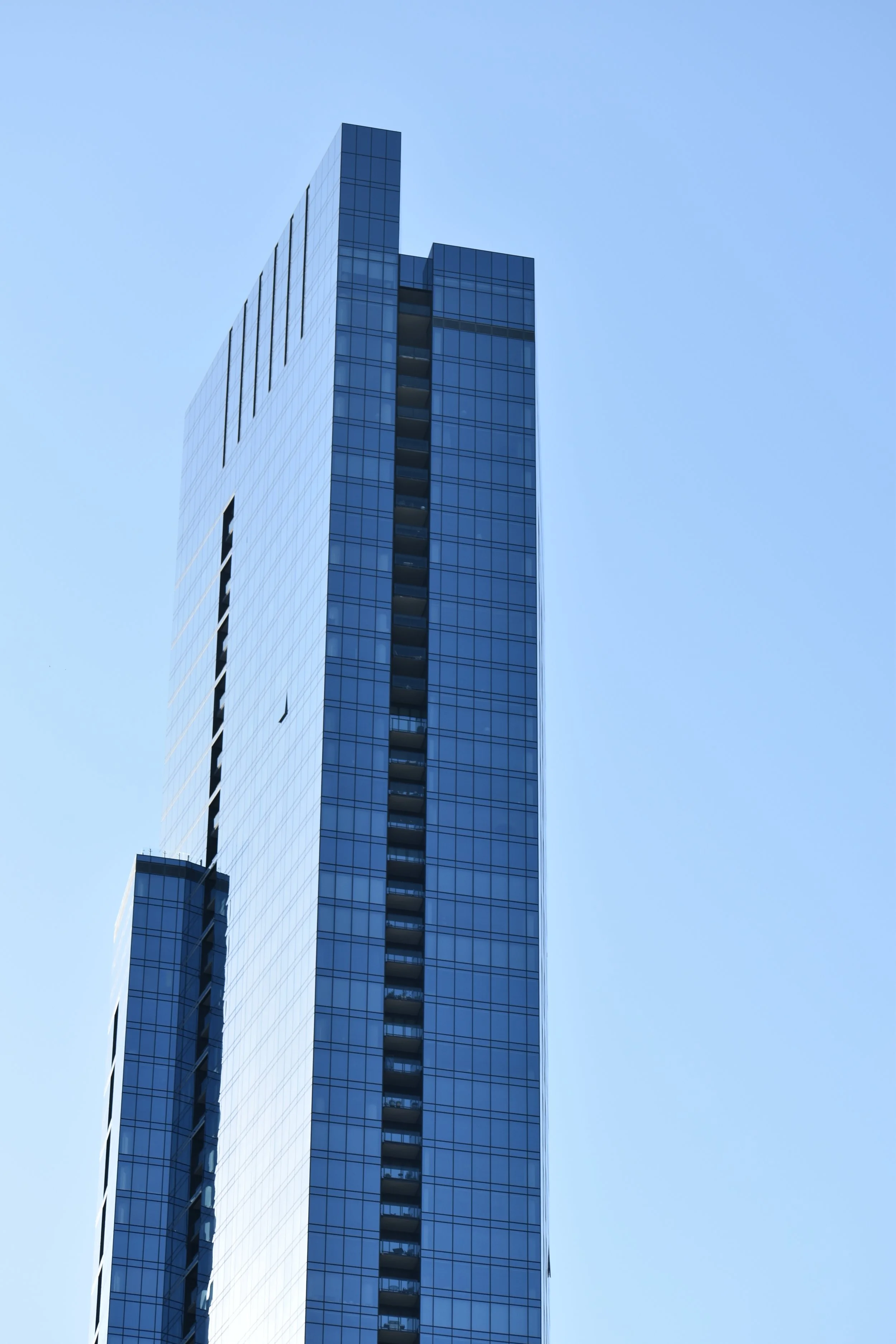 DSC_0323.JPG