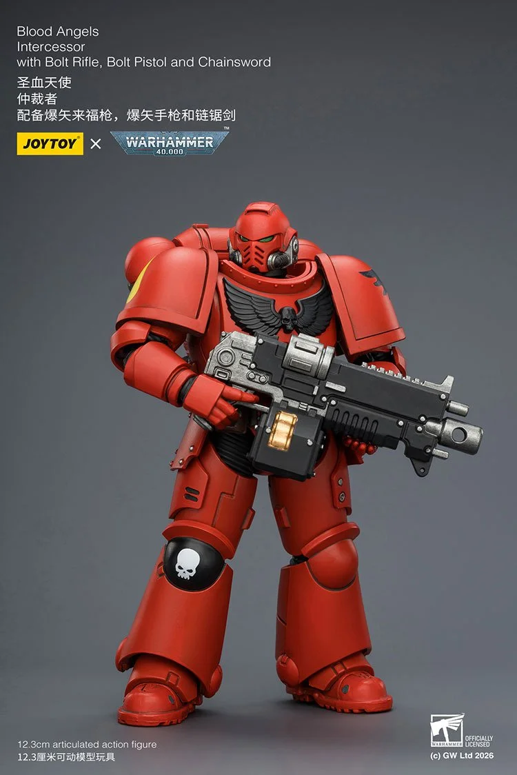 Blood Angel Intercessor with Bolt Rifle, Bolt Pistol and Chainsword