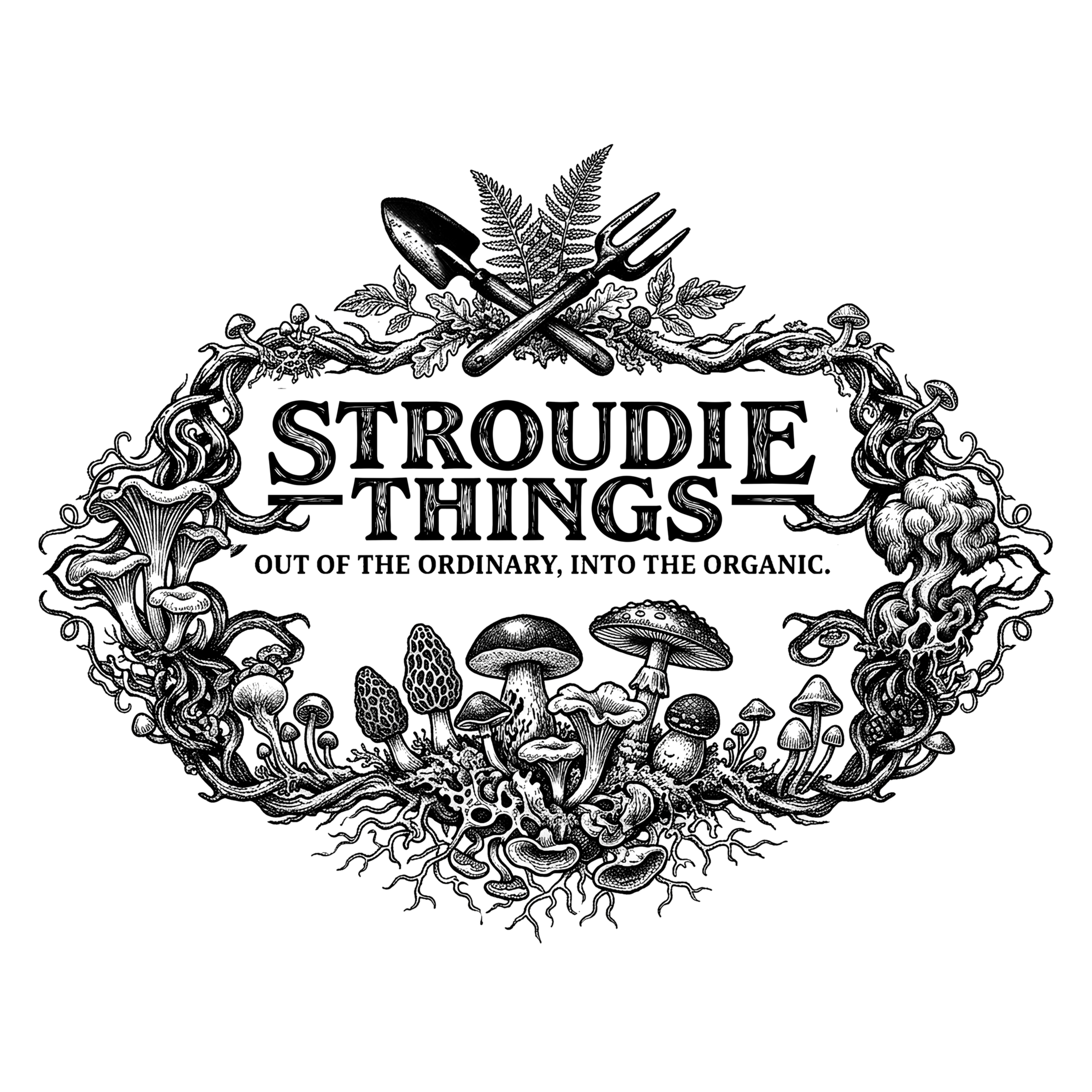 Stroudie-Things-Out-of-the-Ordinary-into-the-Organic-illustration