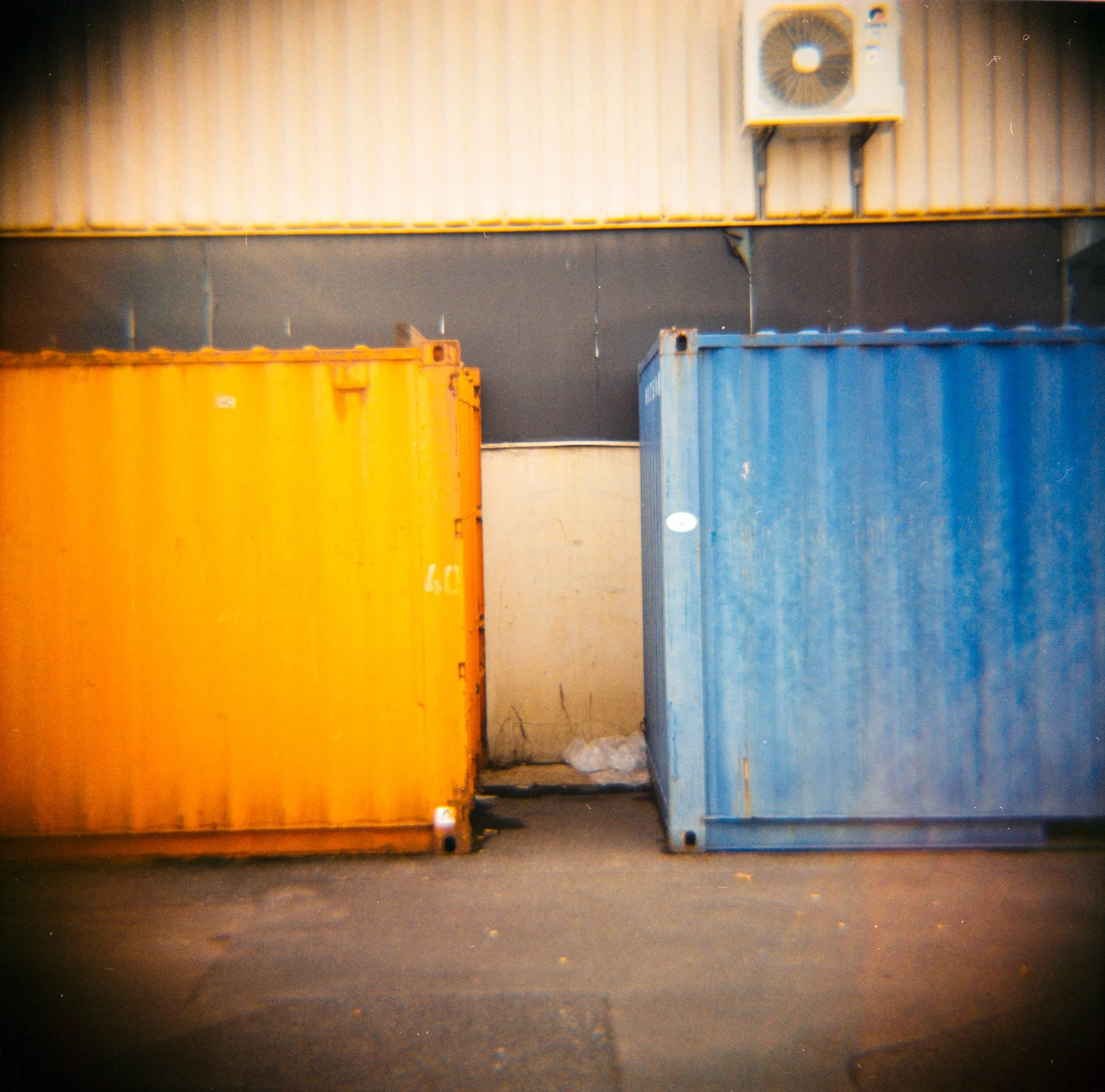 29_2026_DianaF+_KodakGold200-2-2.jpg
