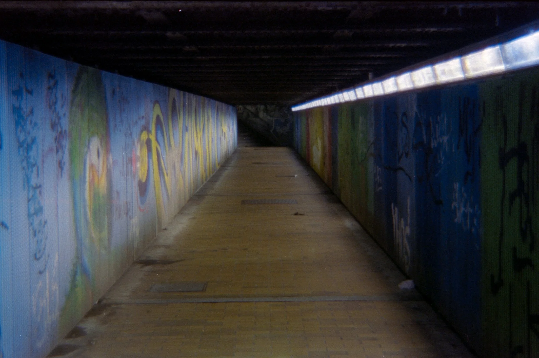 19_2026_DianaF+_CineStill800T-31.jpg