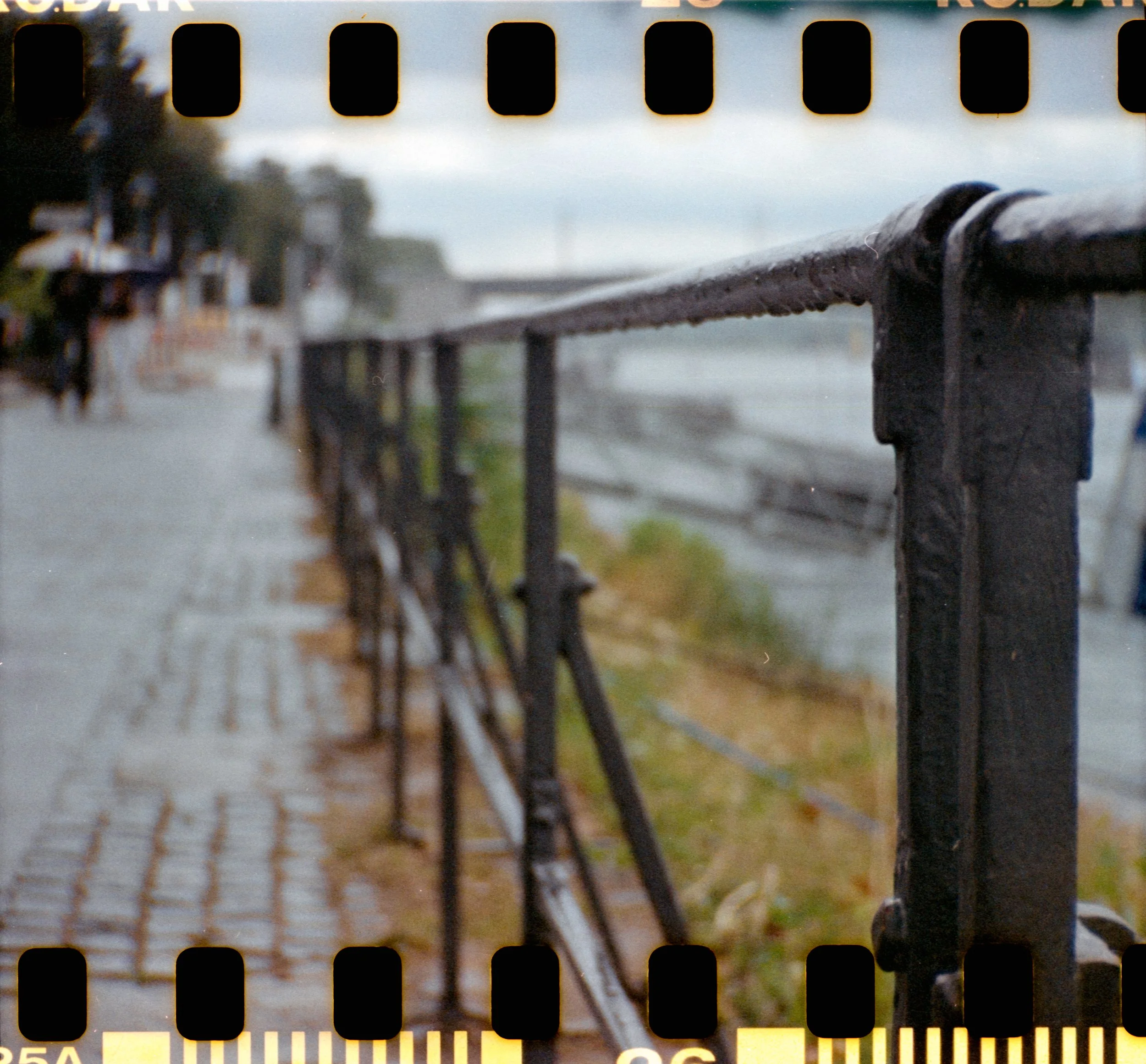 17_2026_DianaF+_KodakGold200-24.jpg