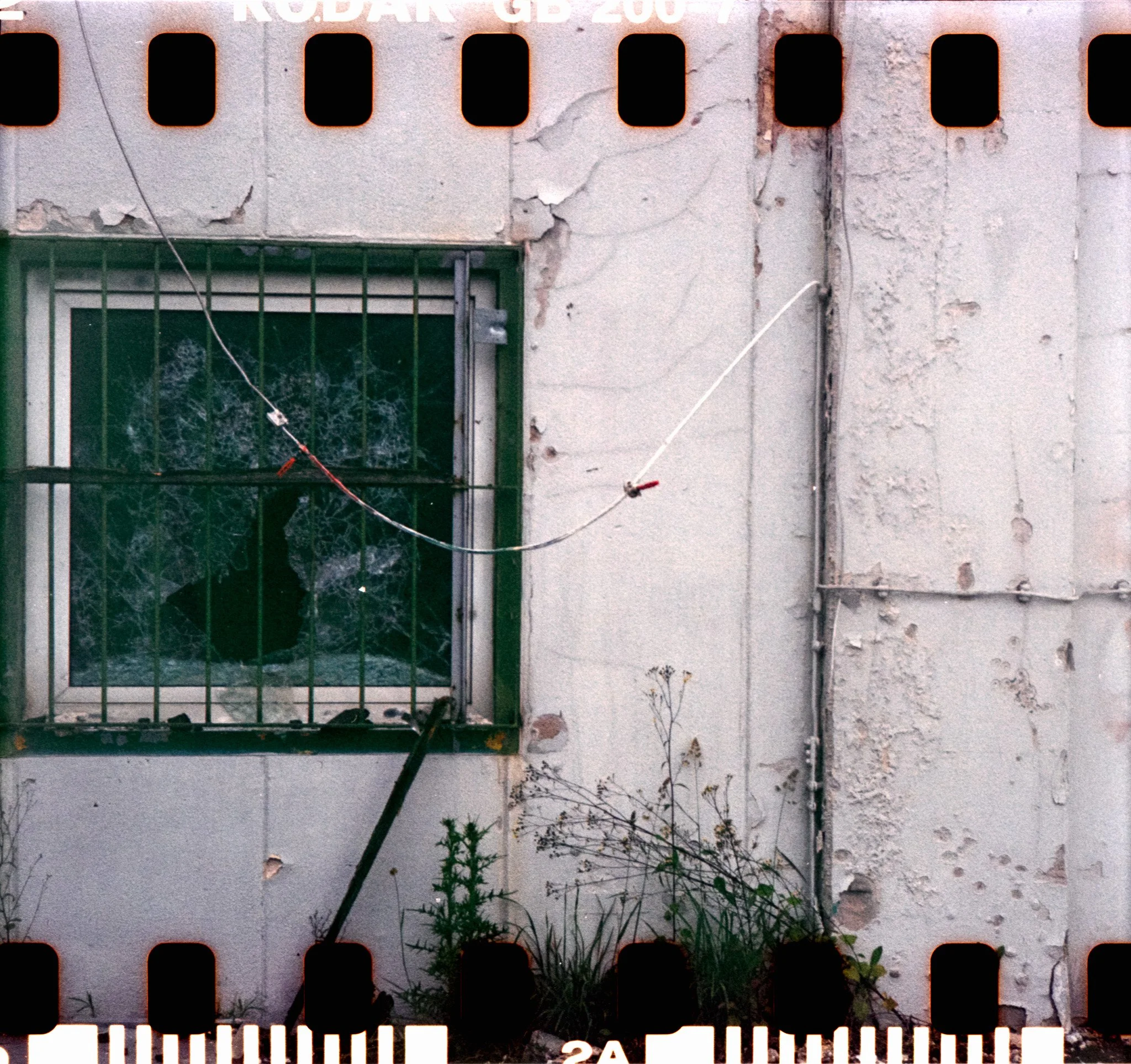 15_2026_DianaF+_KodakGold200-16.jpg