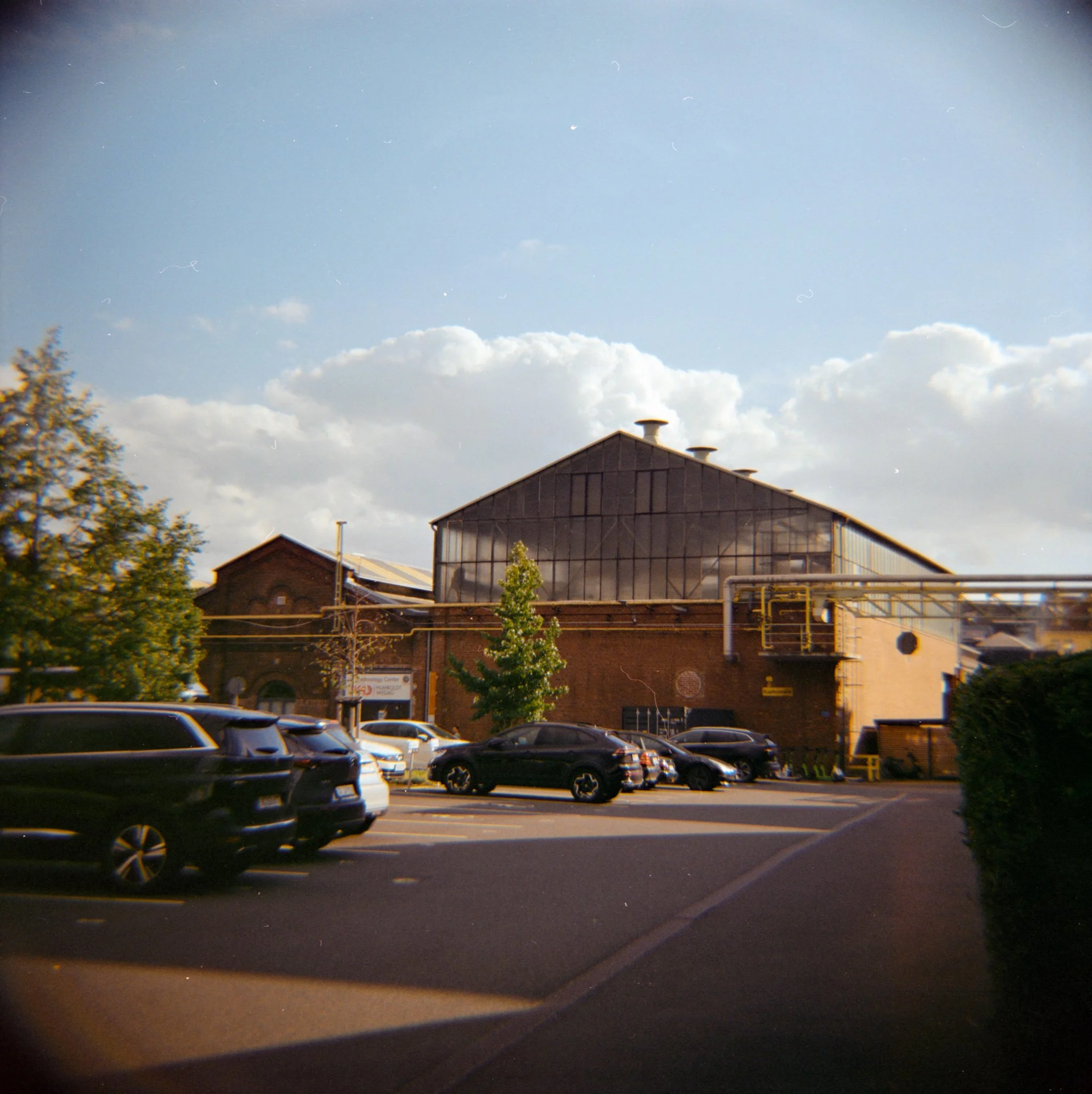 29_2026_DianaF+_KodakGold200-3-2.jpg