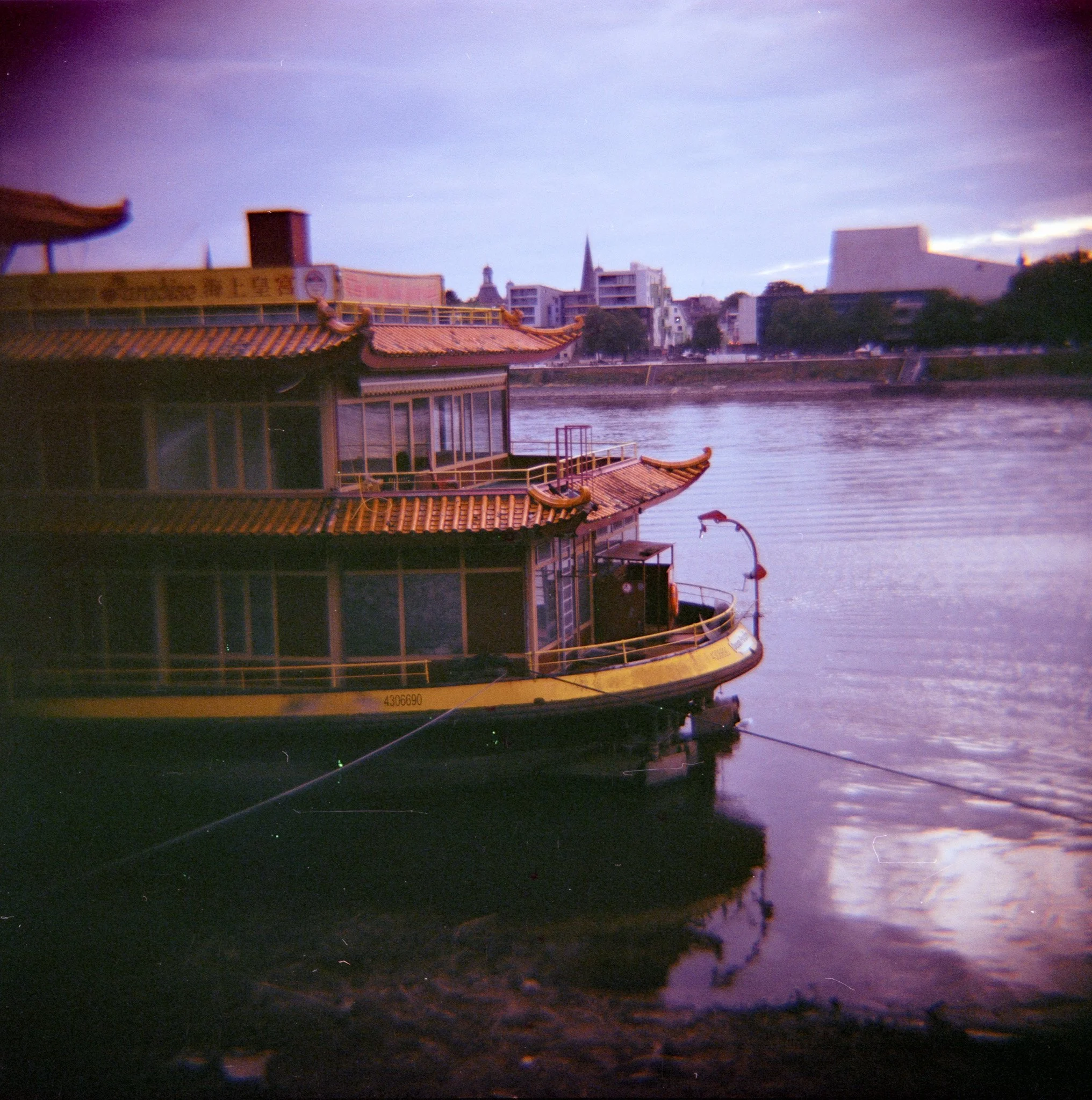 32_2026_DianaF+_KodakGold200-7.jpg