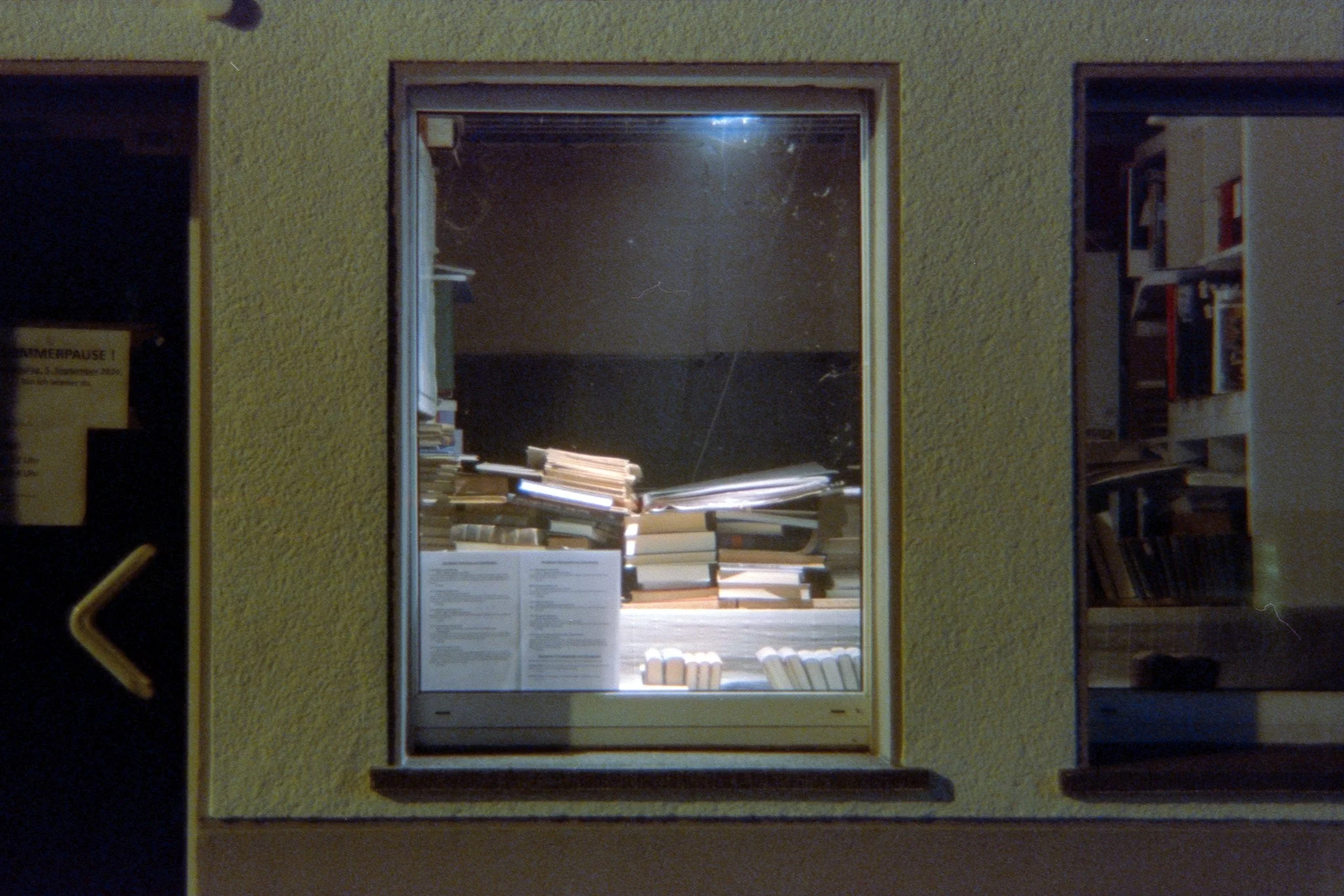 19_2026_DianaF+_CineStill800T-23.jpg