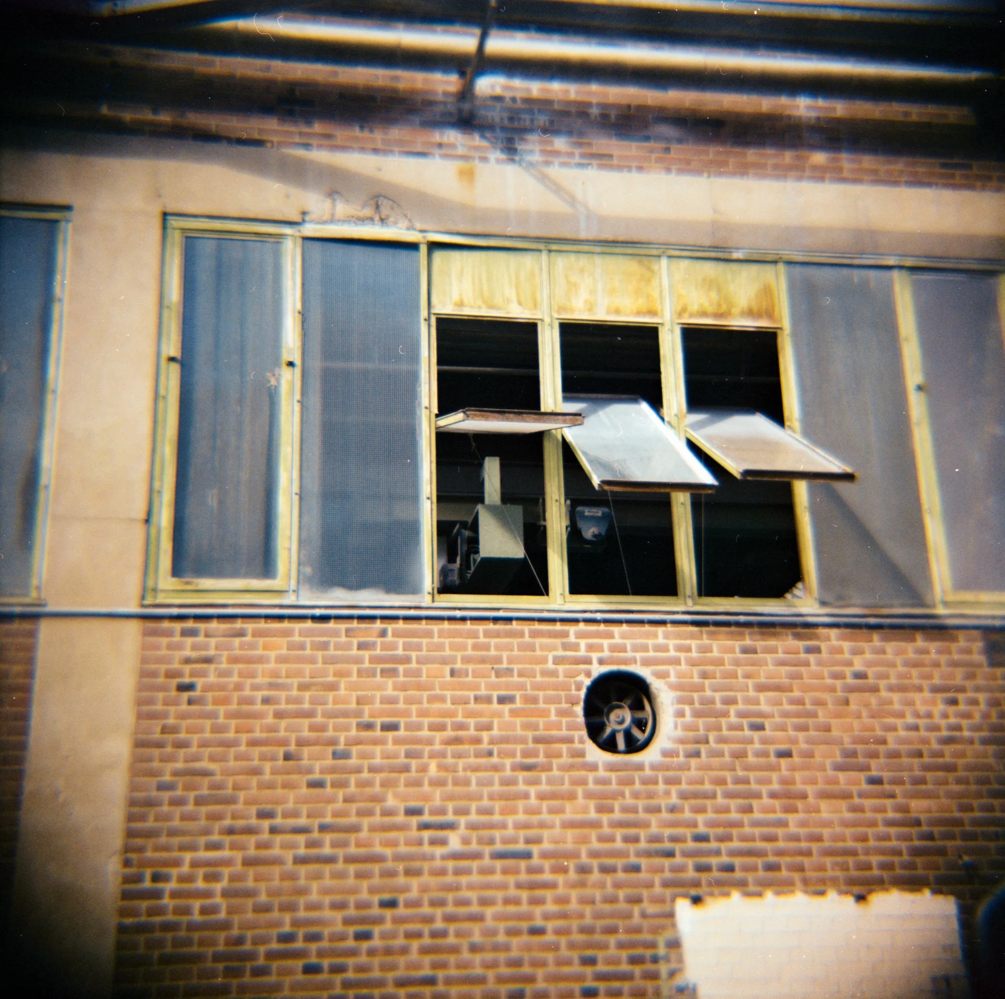 29_2026_DianaF+_KodakGold200-2.jpg