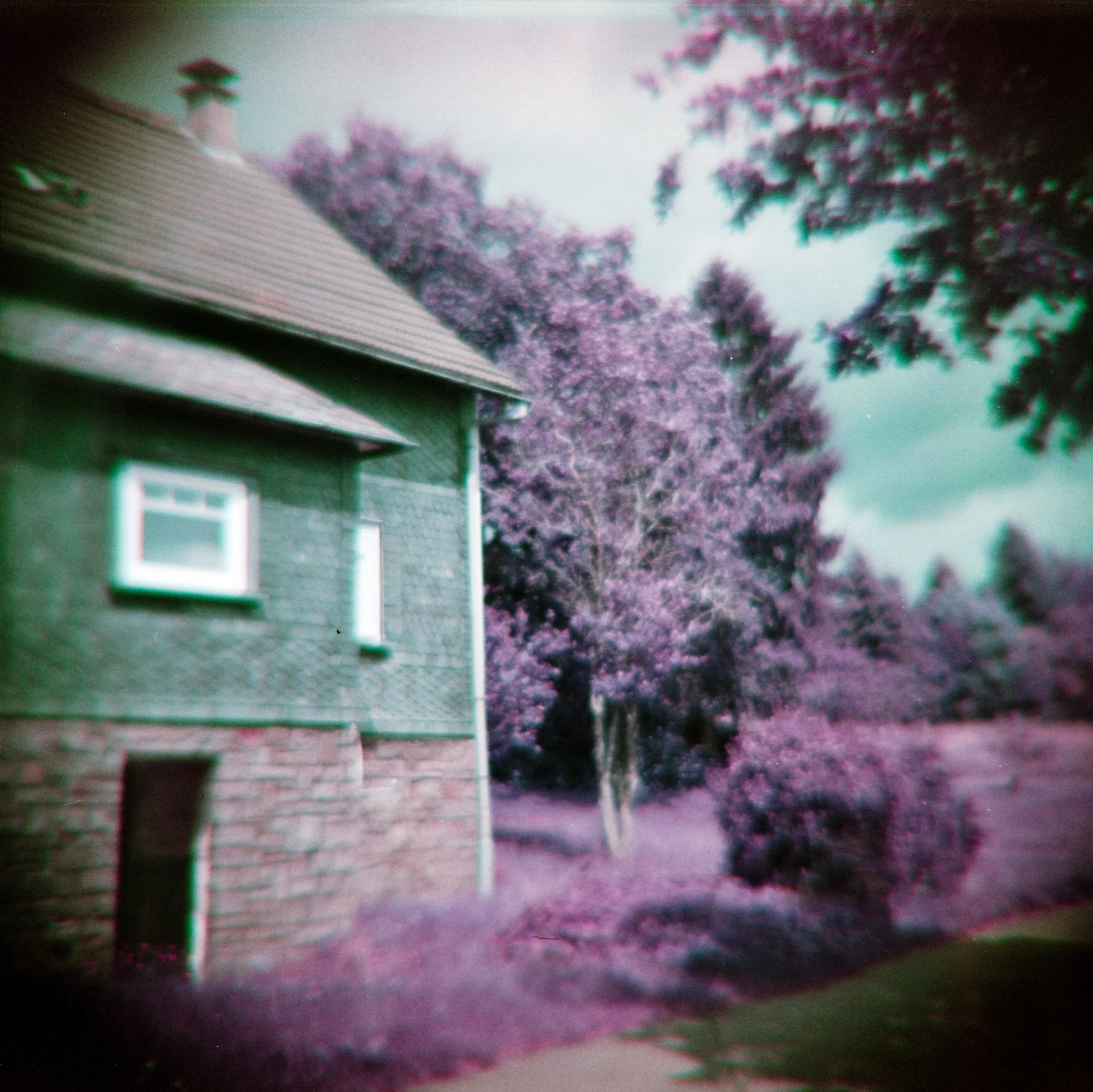 Diana F+ / Lomochrome Purple / ISO 200