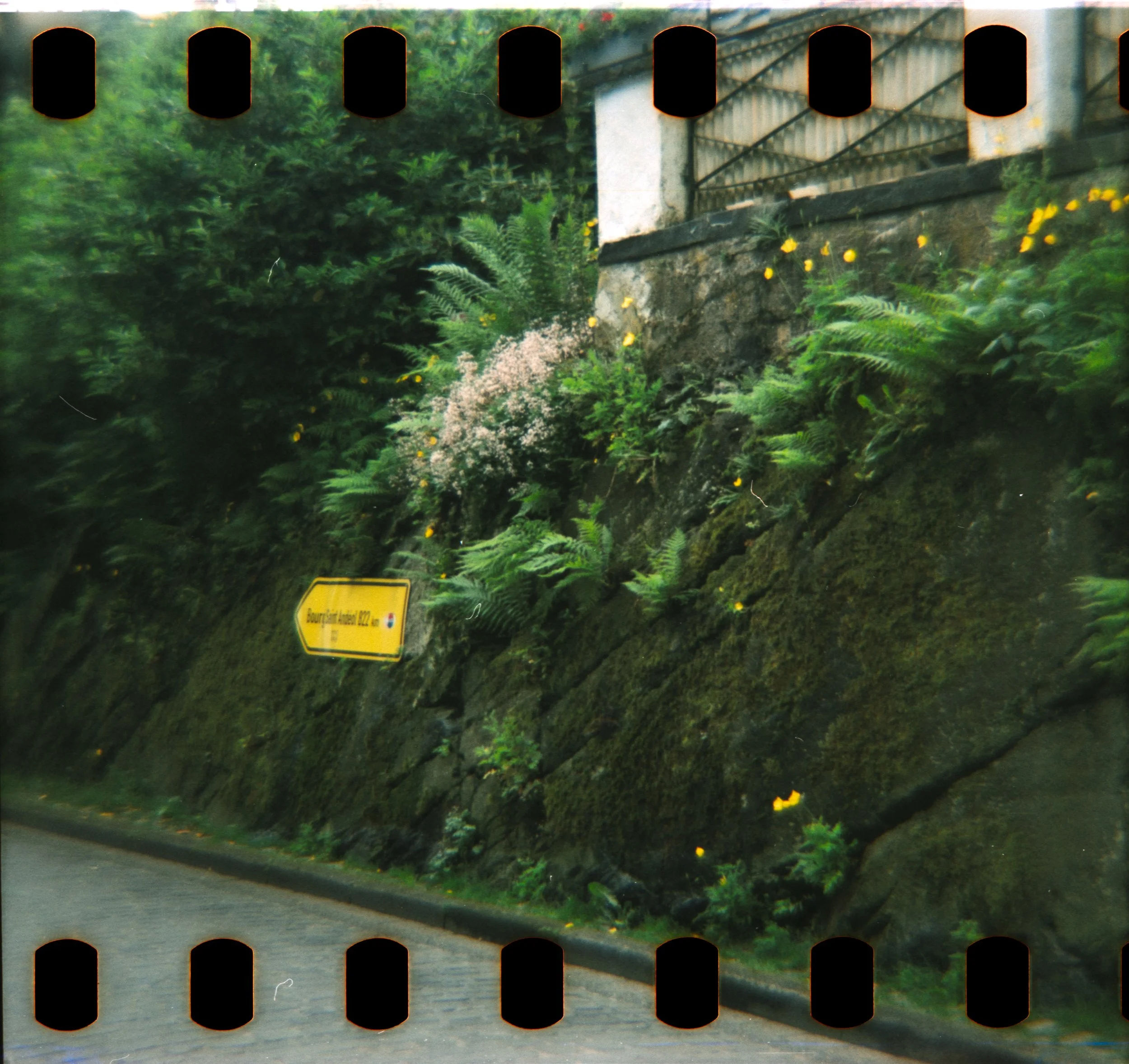 DianaF+_Motion250D_10_2025-26.jpg