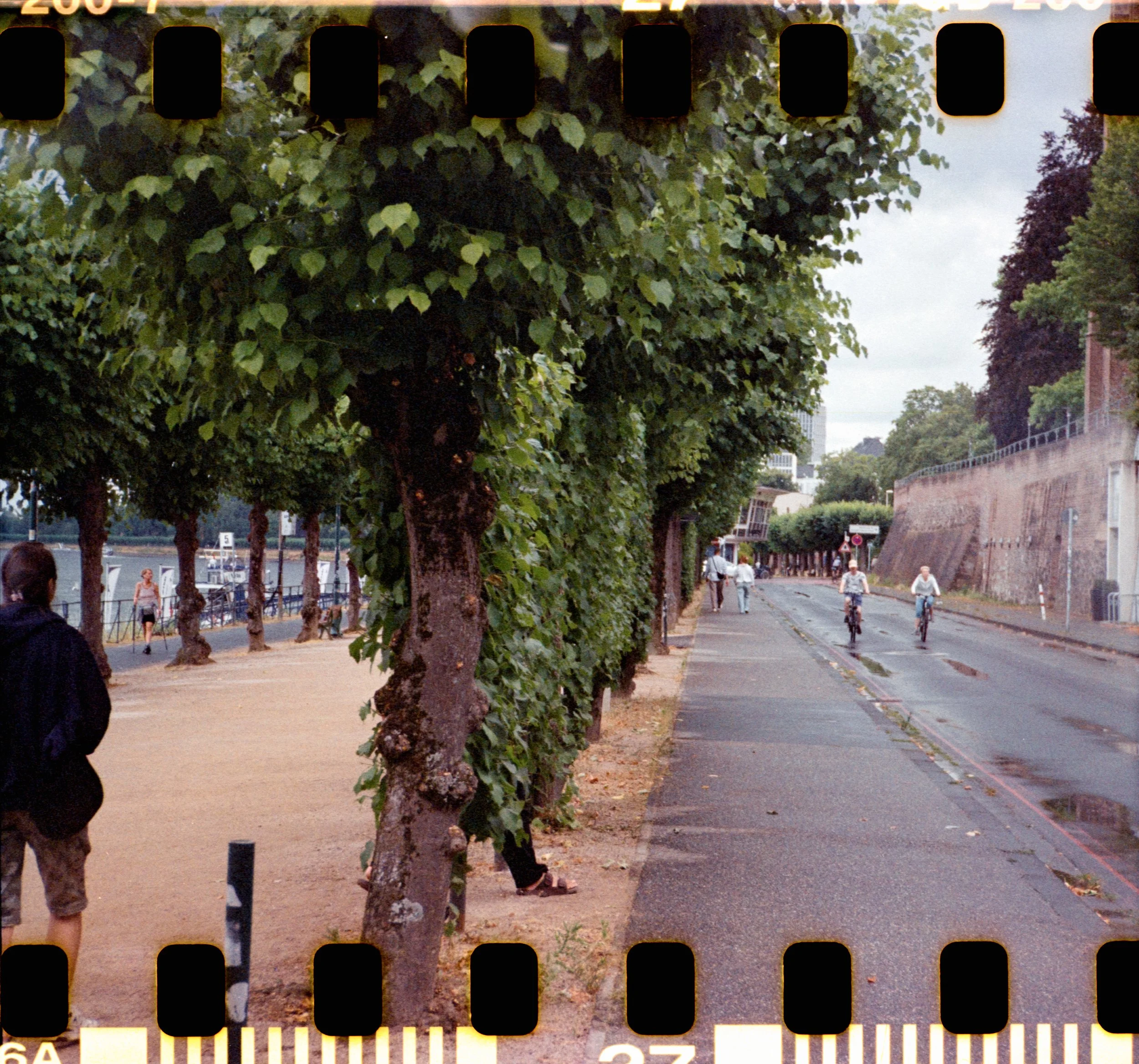 17_2026_DianaF+_KodakGold200-23.jpg