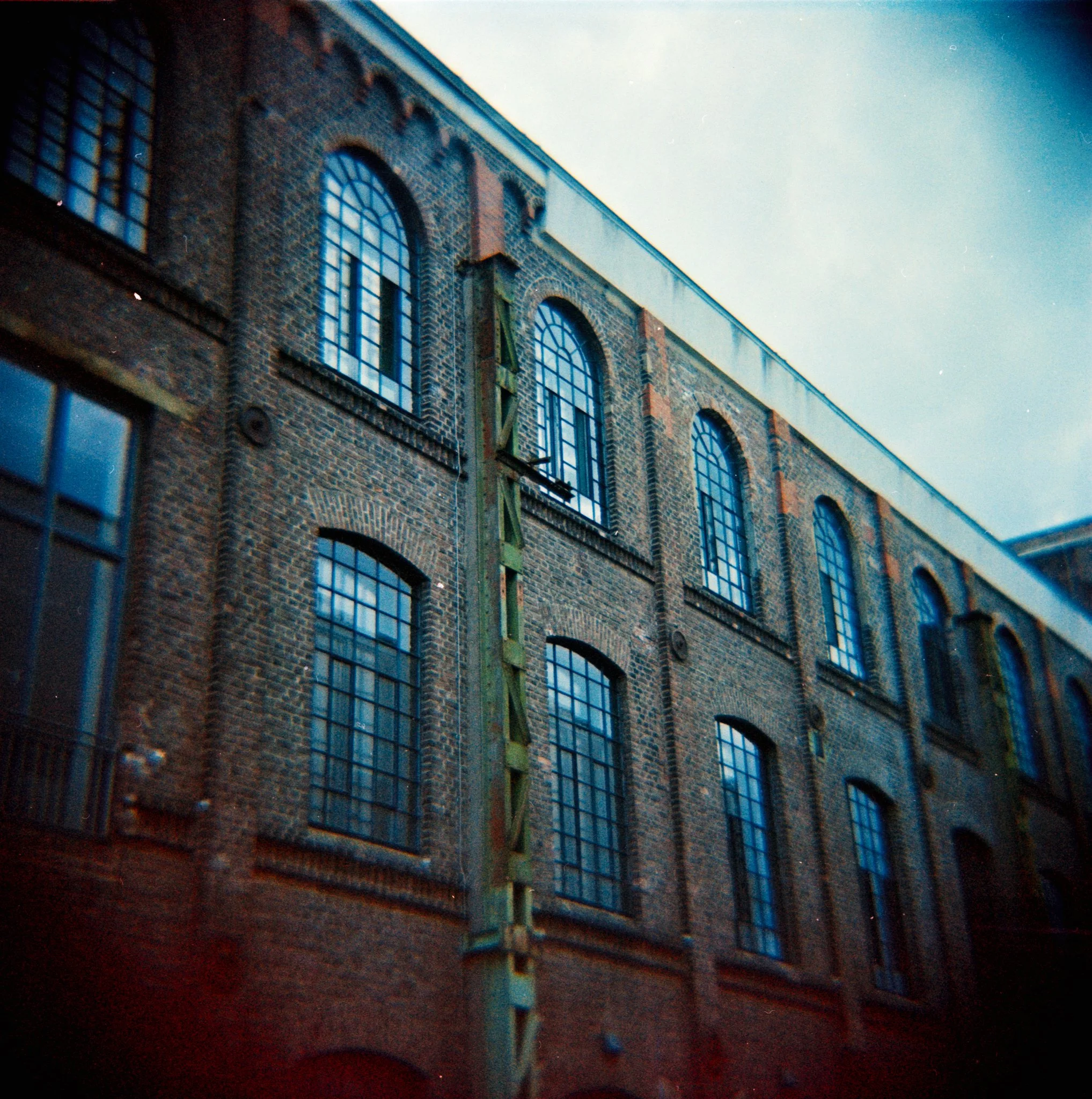 29_2026_DianaF+_Opticolour200-10.jpg