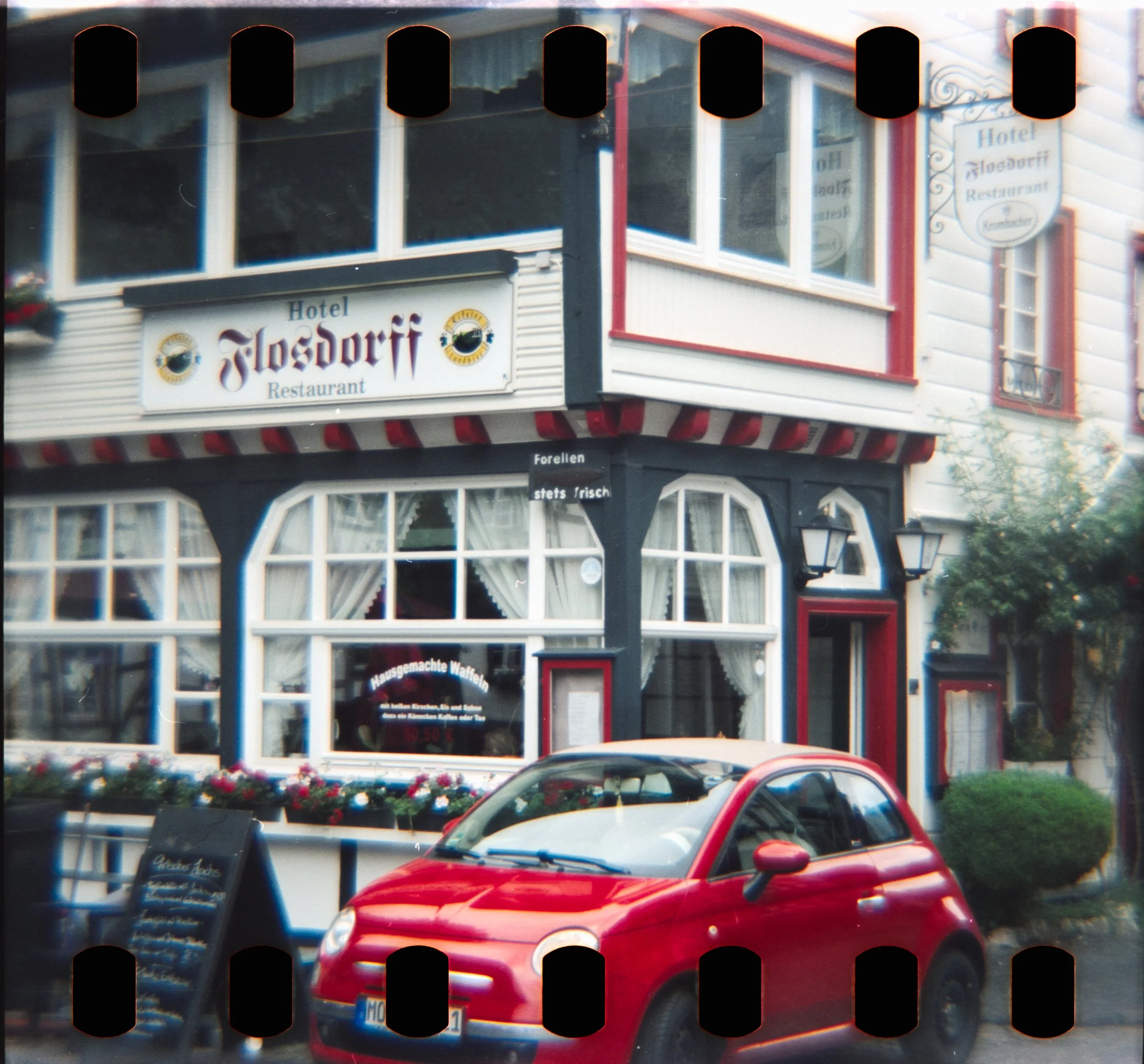 DianaF+_Motion250D_10_2025-28.jpg