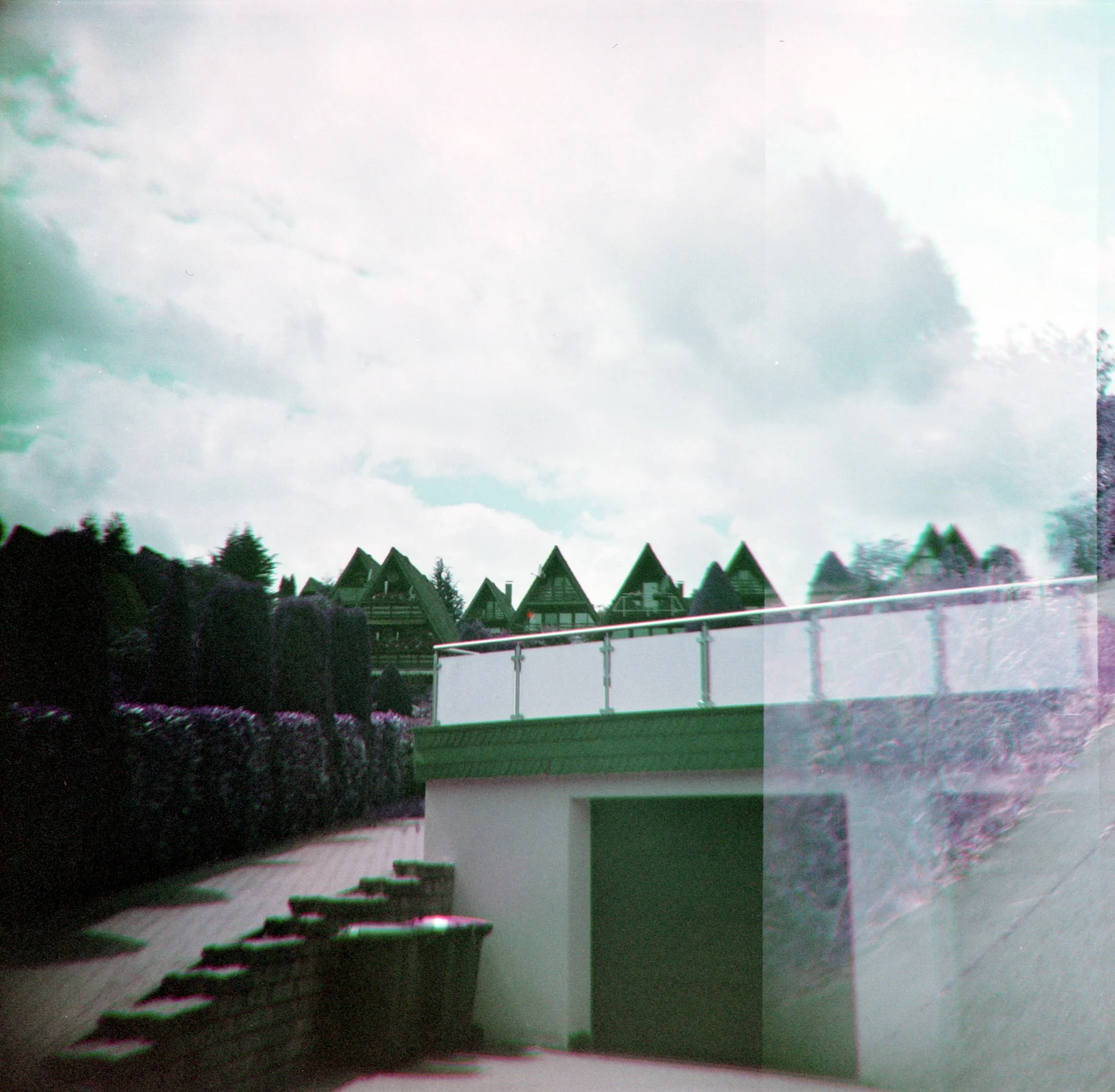 16_2026_DianaF+_LomoPurple200-1.jpg