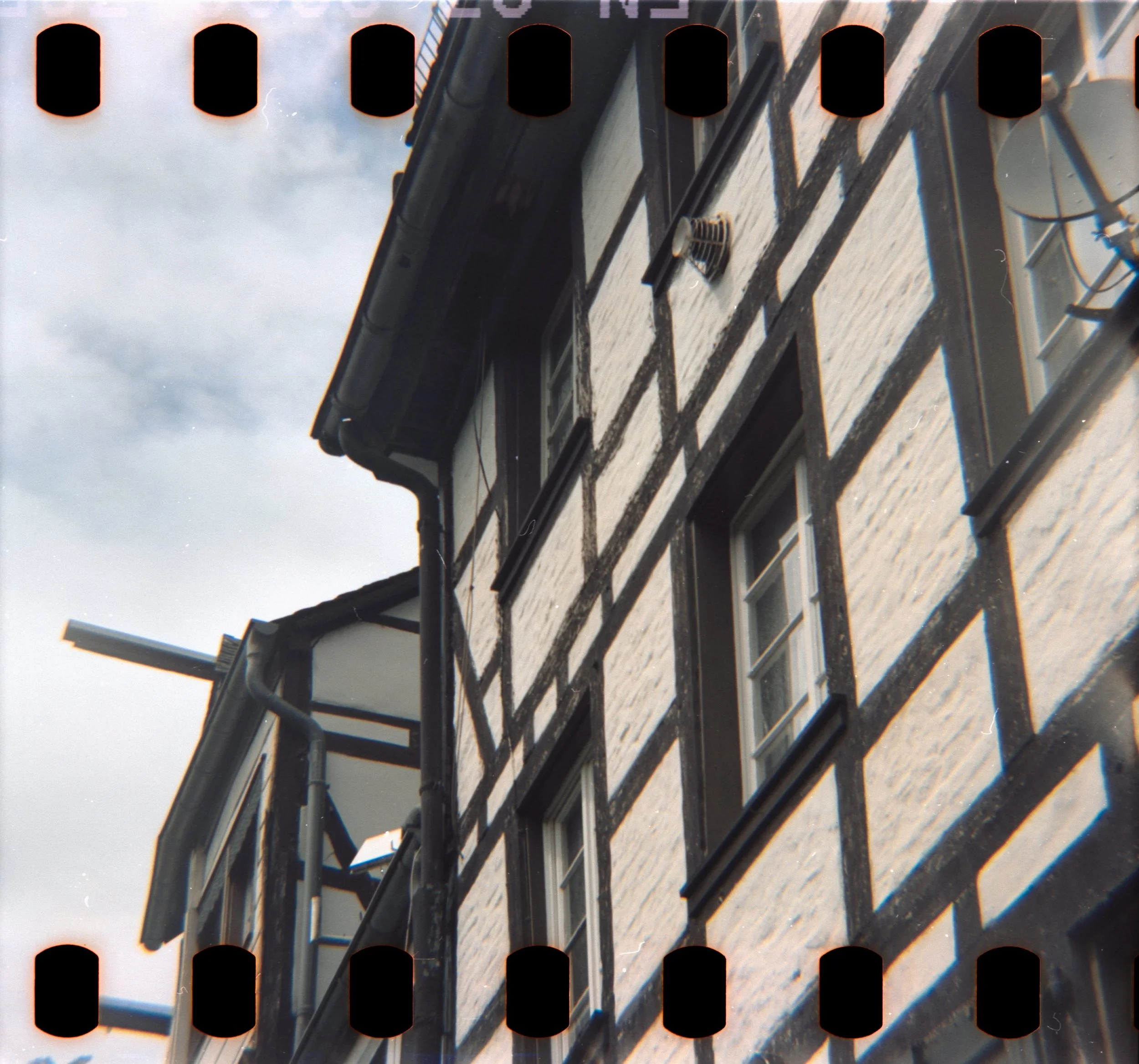 DianaF+_Motion250D_10_2025-14.jpg