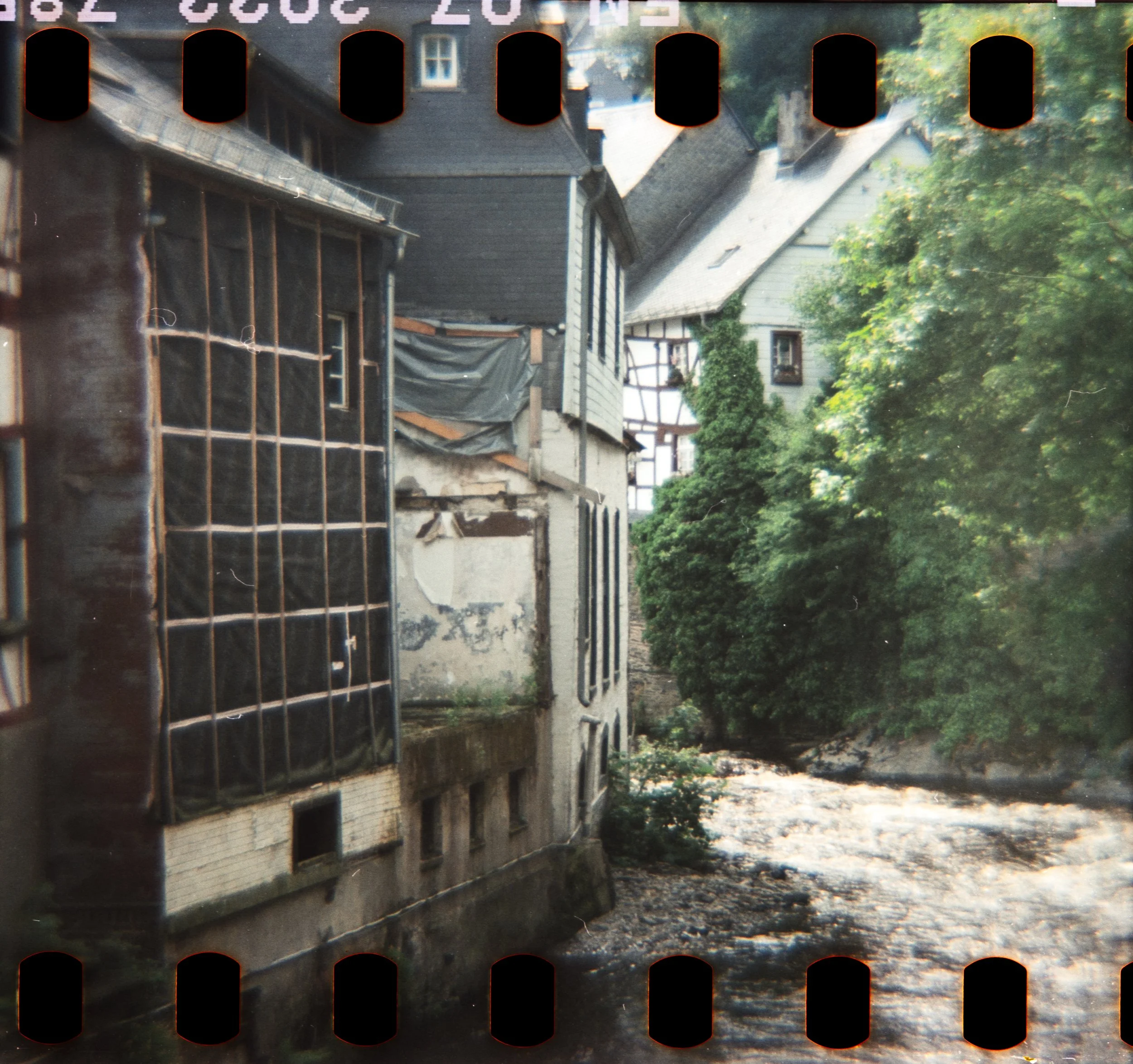 DianaF+_Motion250D_10_2025-11.jpg