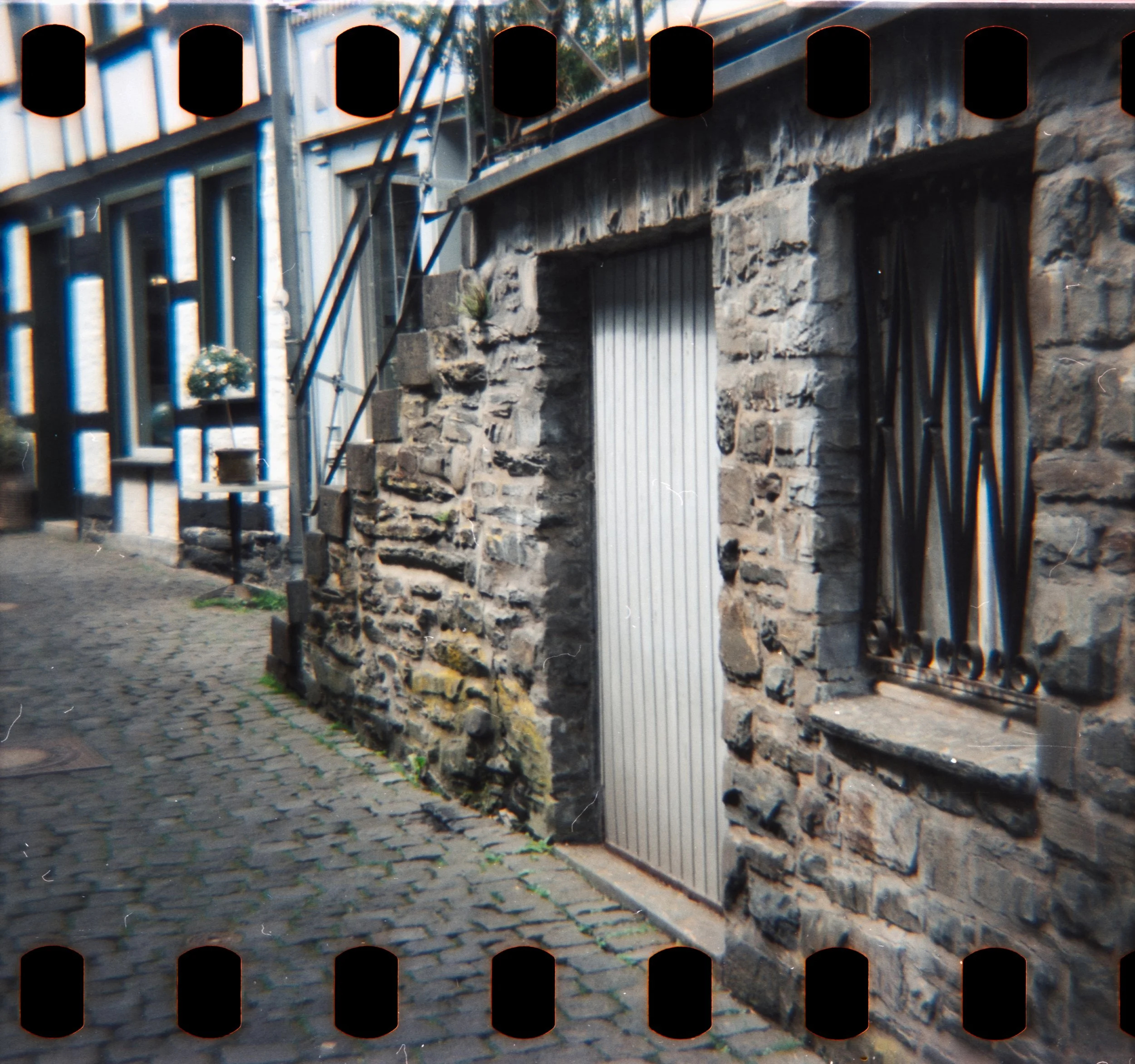 DianaF+_Motion250D_10_2025-12.jpg
