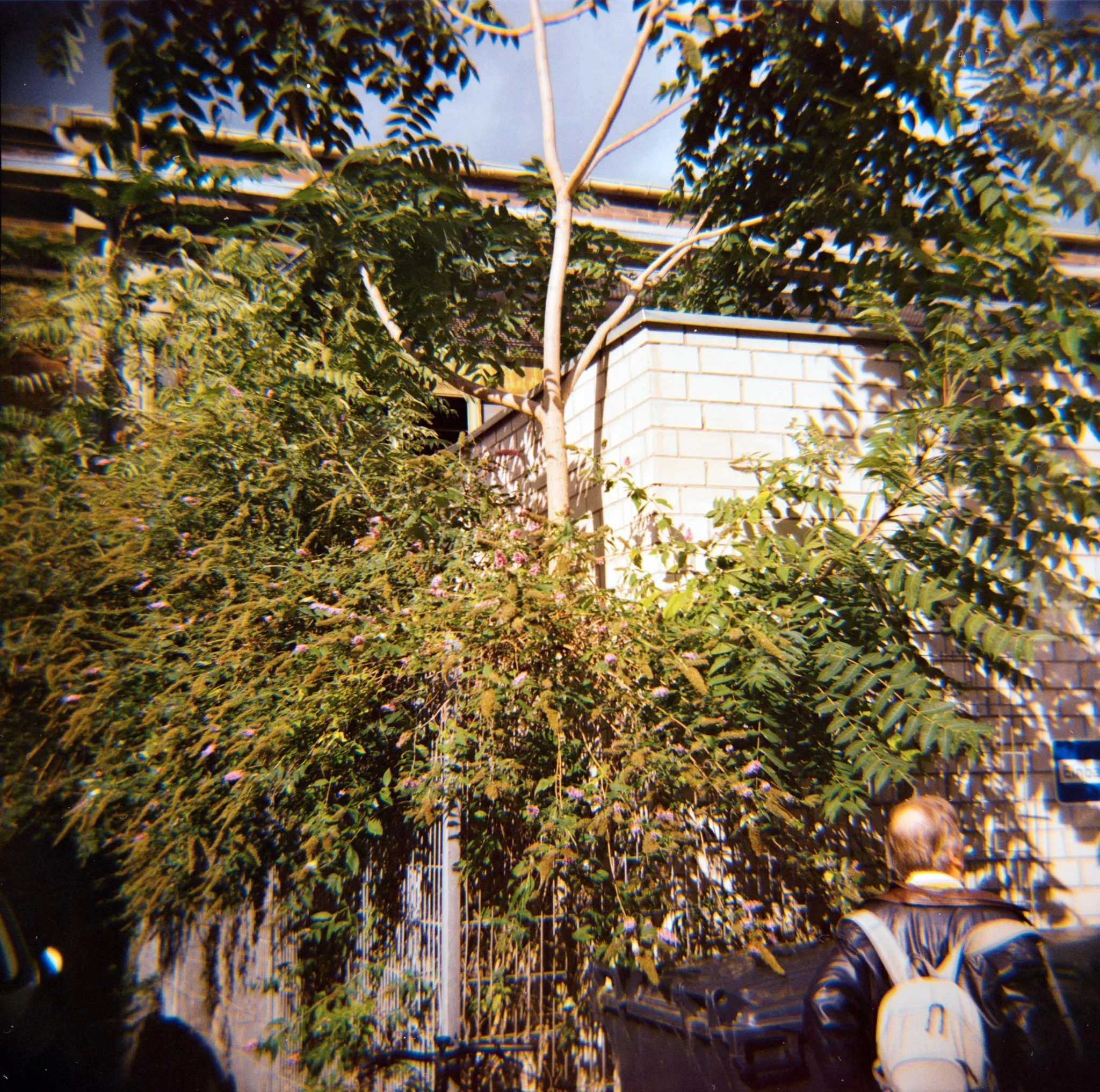 29_2026_DianaF+_KodakGold200-1.jpg
