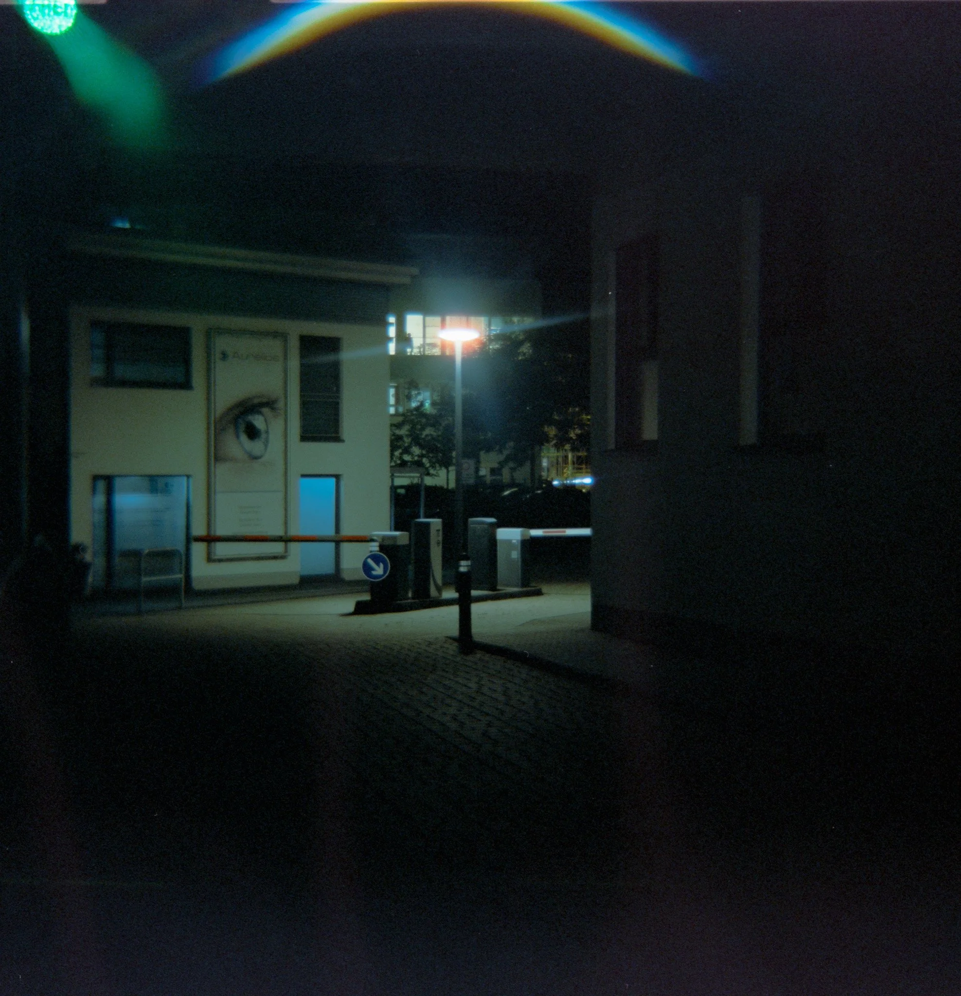 33_2026_DianaF+_CineStill800T-10.jpg