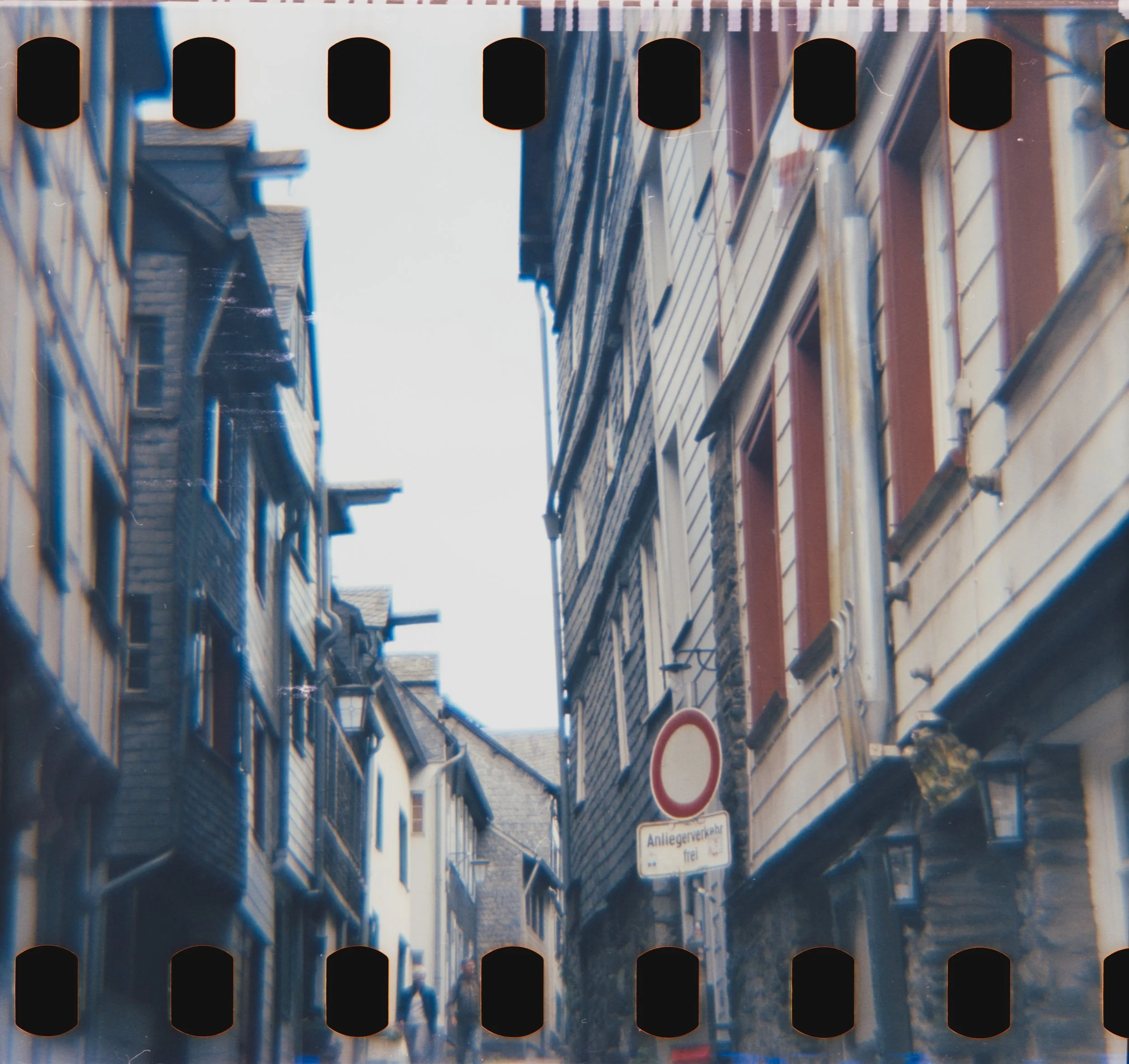 DianaF+_Motion250D_10_2025-3.jpg