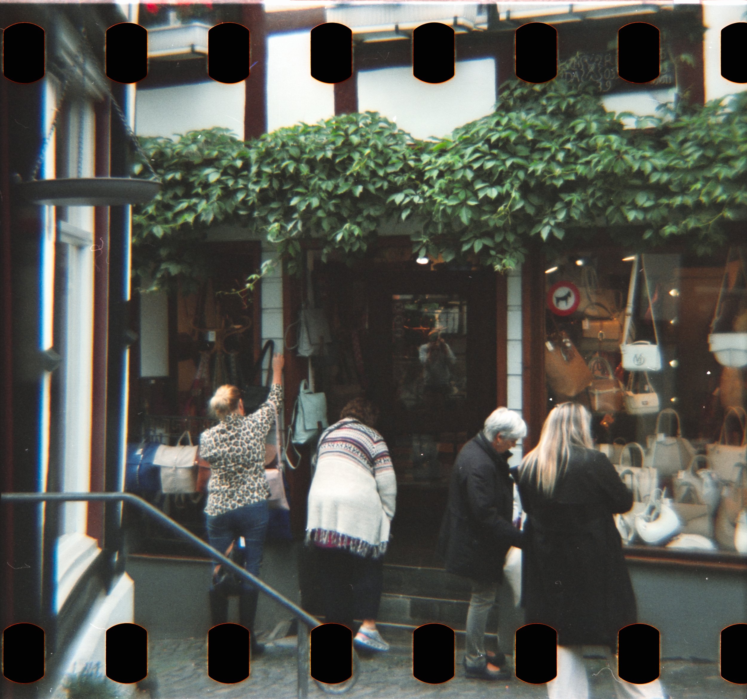DianaF+_Motion250D_10_2025-5.jpg