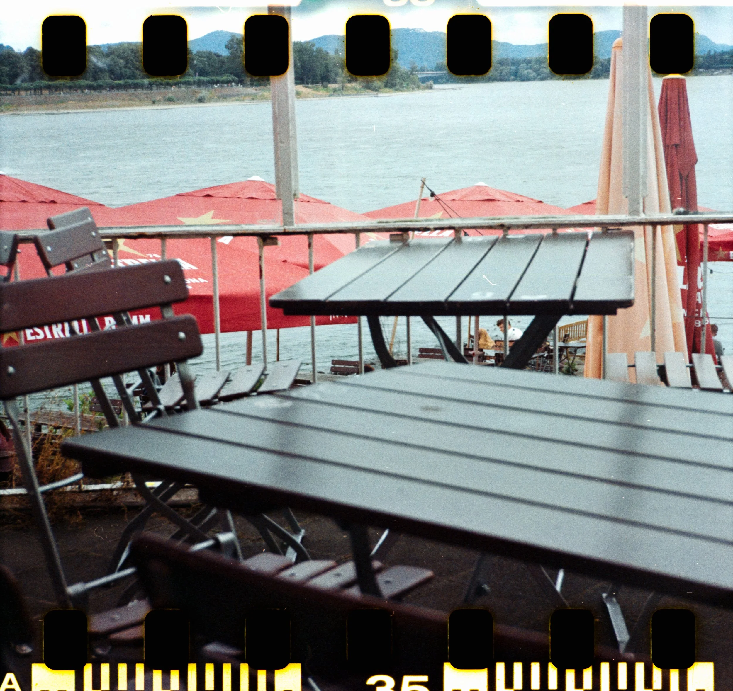 17_2026_DianaF+_KodakGold200-6.jpg