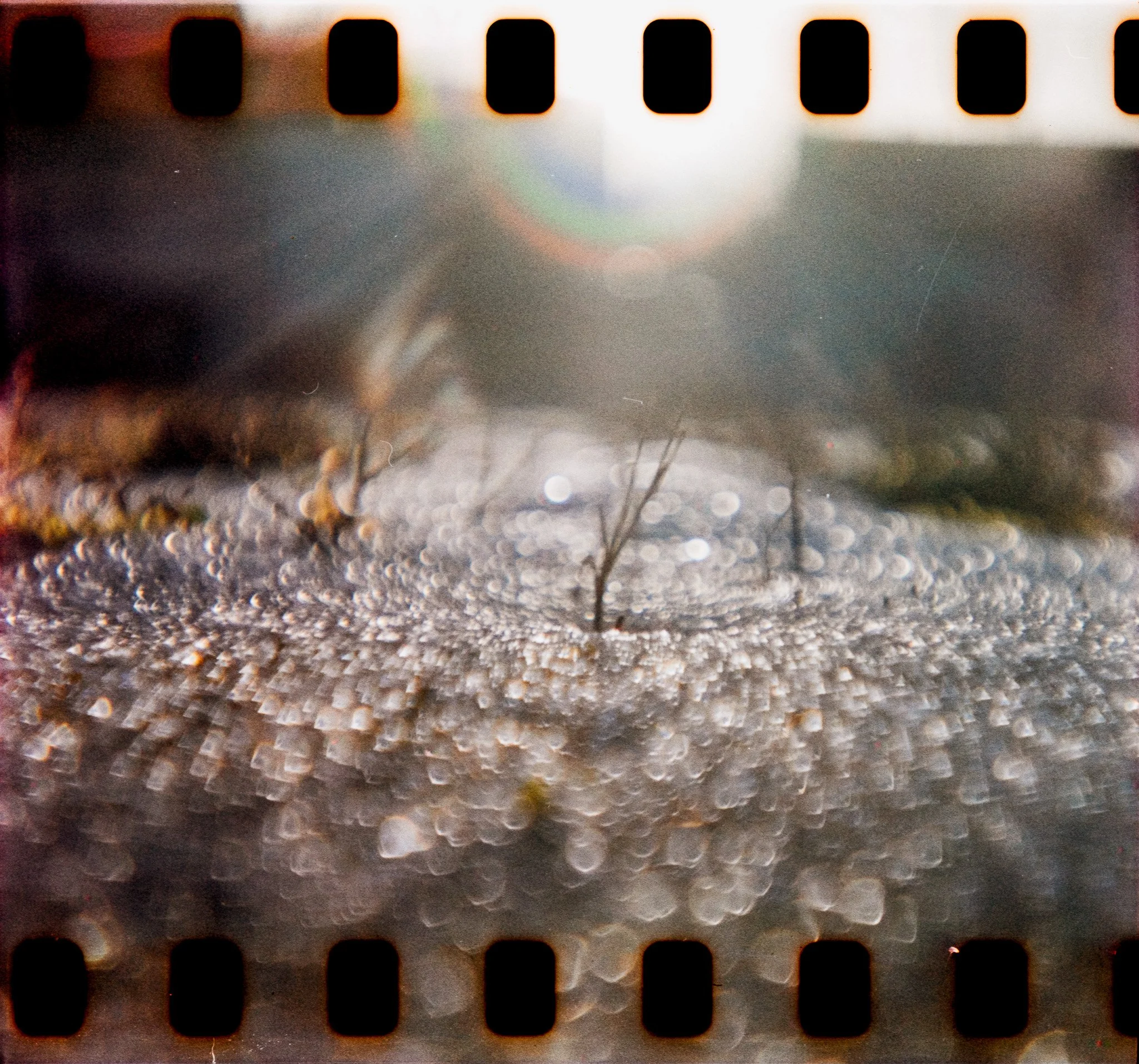 DianaF+_Kono200_01_2026-21.jpg