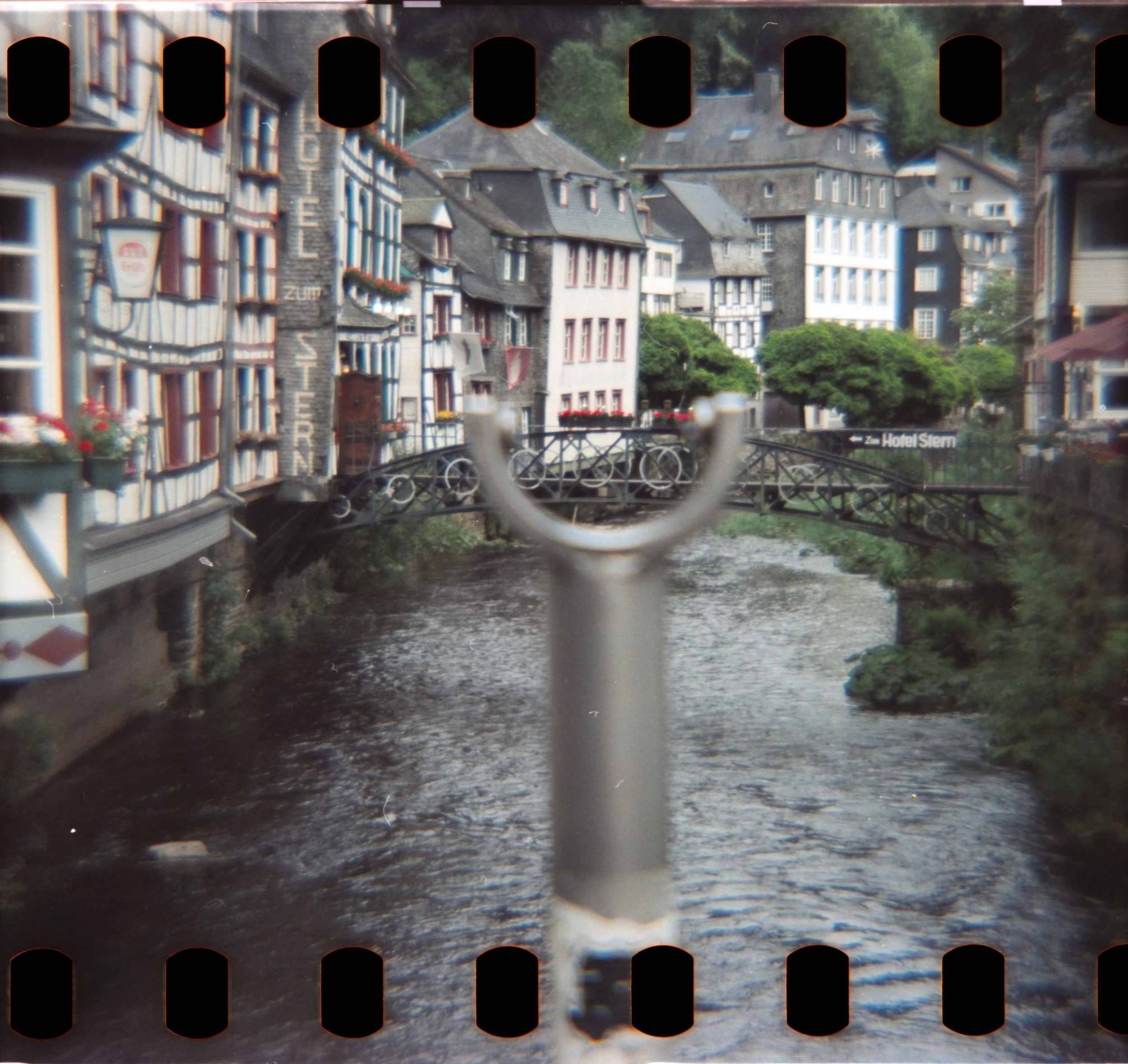 DianaF+_Motion250D_10_2025-1.jpg