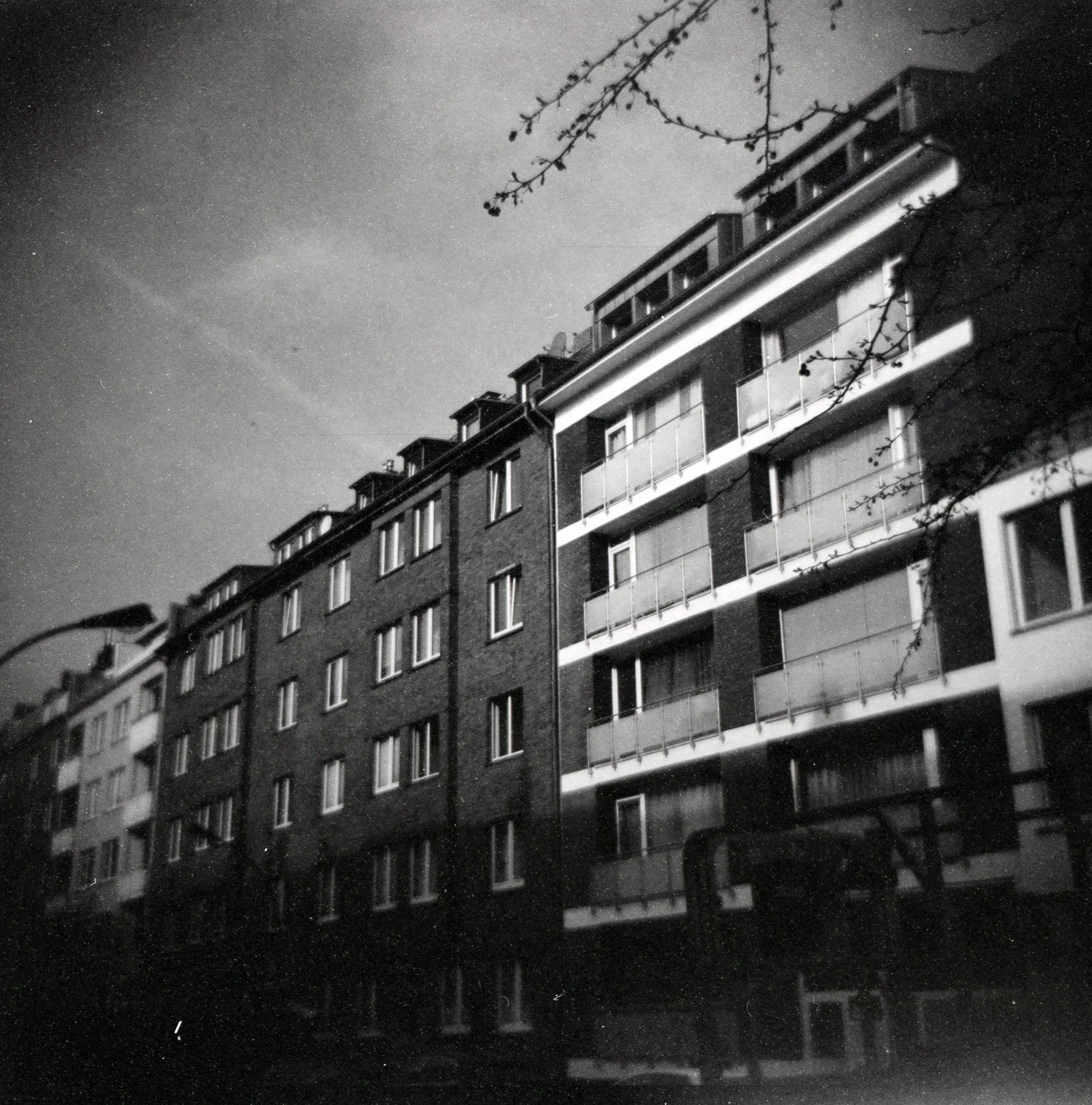 05_2026_DianaF+_Fomapan200_120-1.jpg
