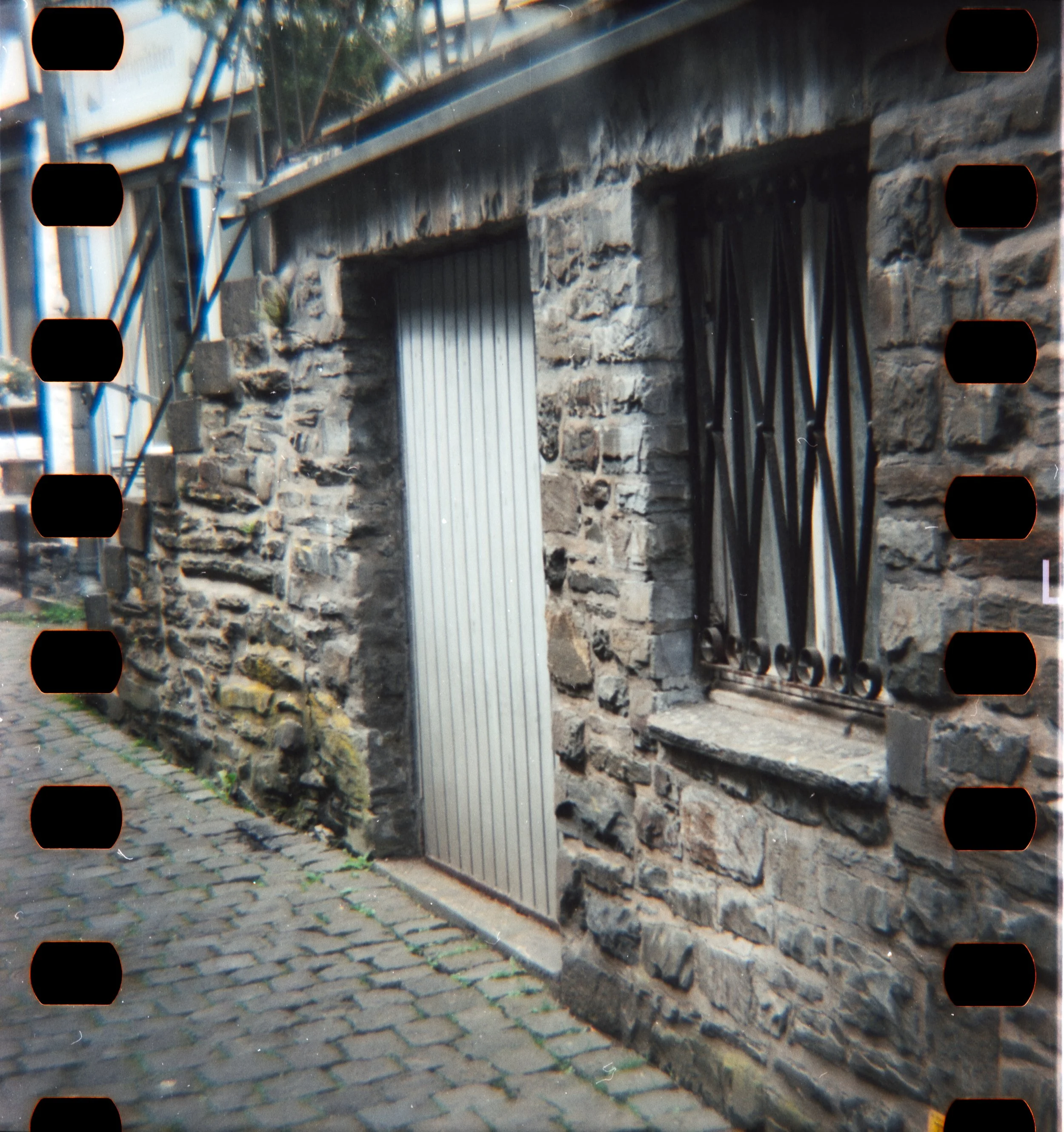 DianaF+_Motion250D_10_2025-13.jpg