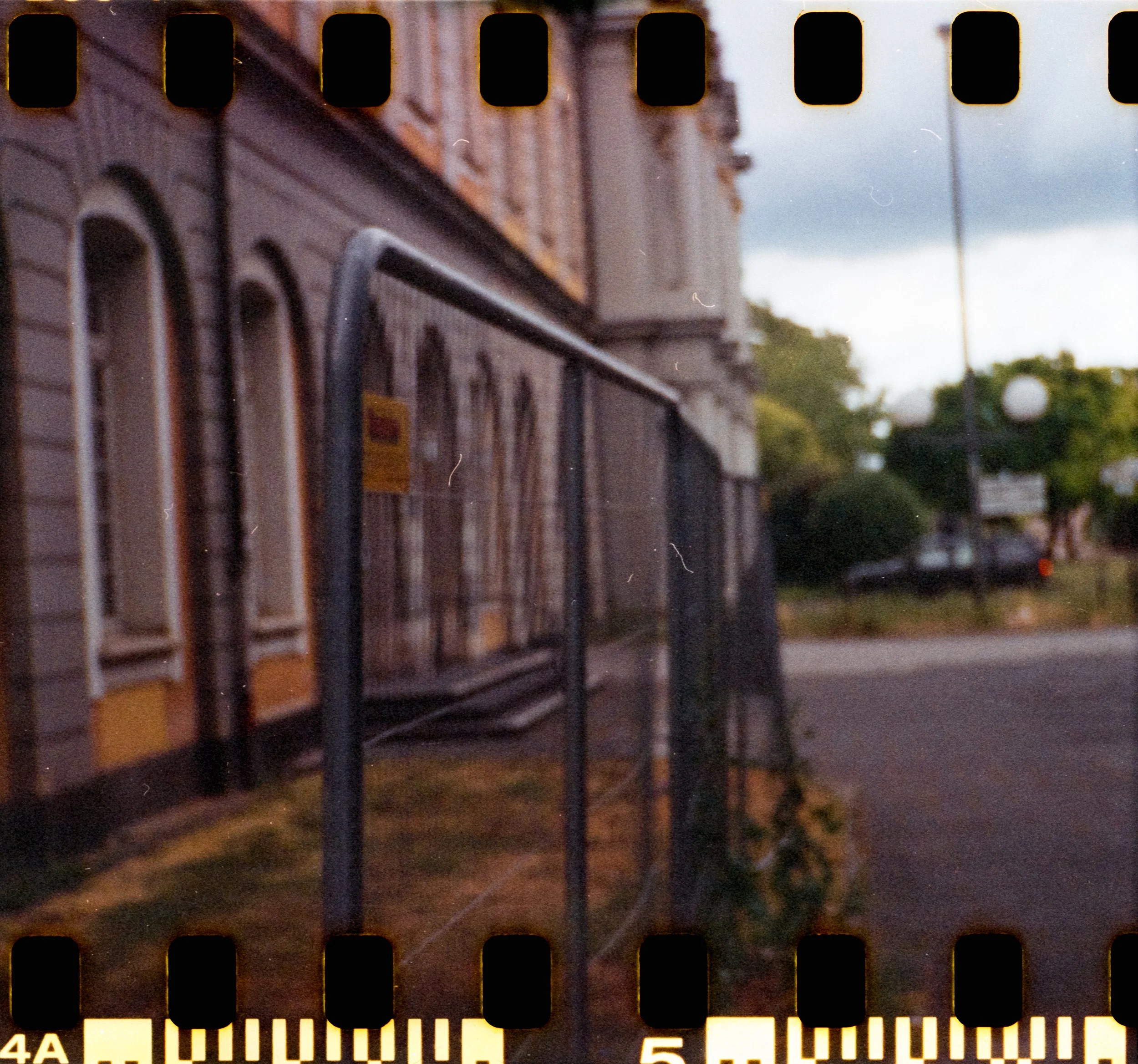 17_2026_DianaF+_KodakGold200-28.jpg