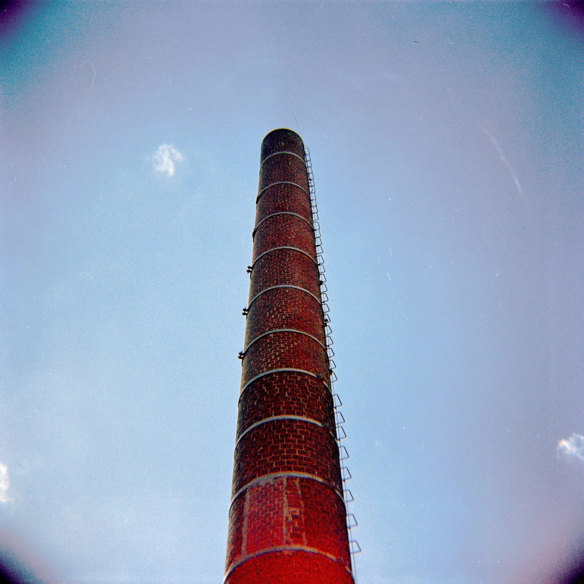 29_2026_DianaF+_Opticolour200-5.jpg