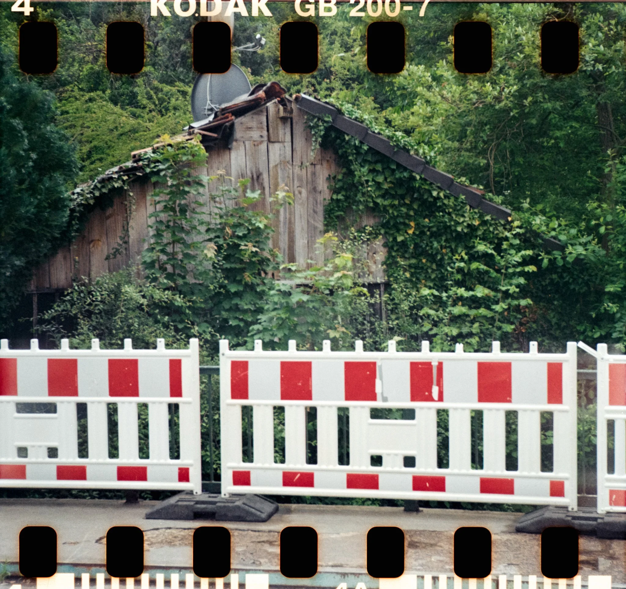 15_2026_DianaF+_KodakGold200-18.jpg