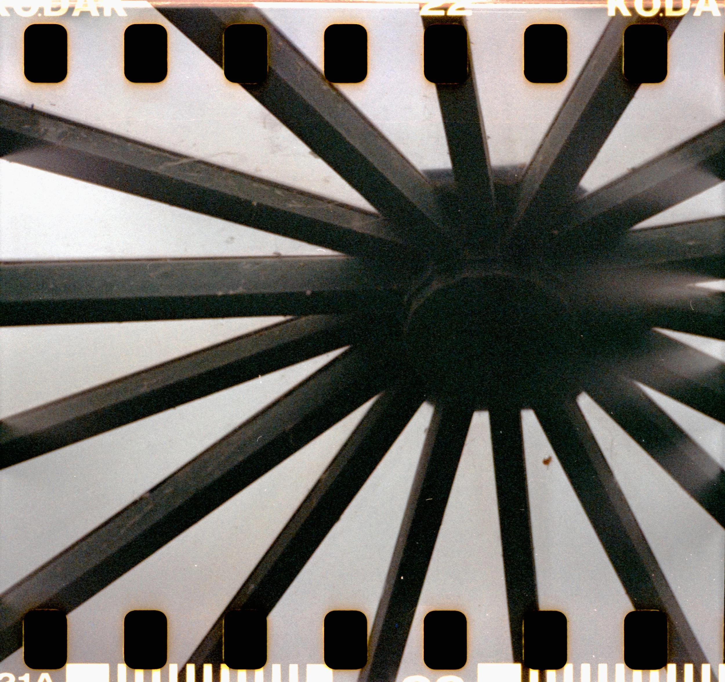 17_2026_DianaF+_KodakGold200-11.jpg