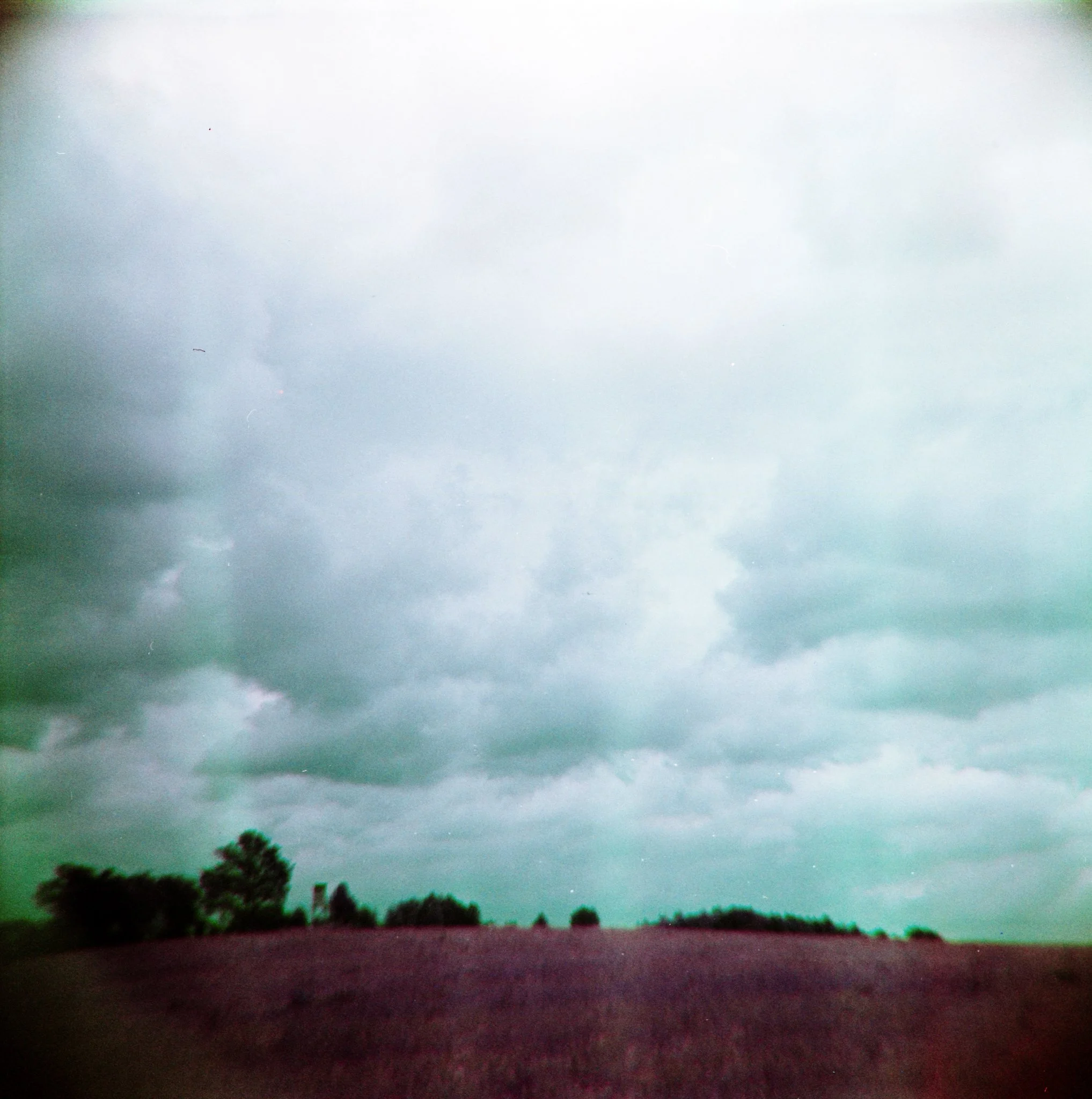 16_2026_DianaF+_LomoPurple200-7.jpg