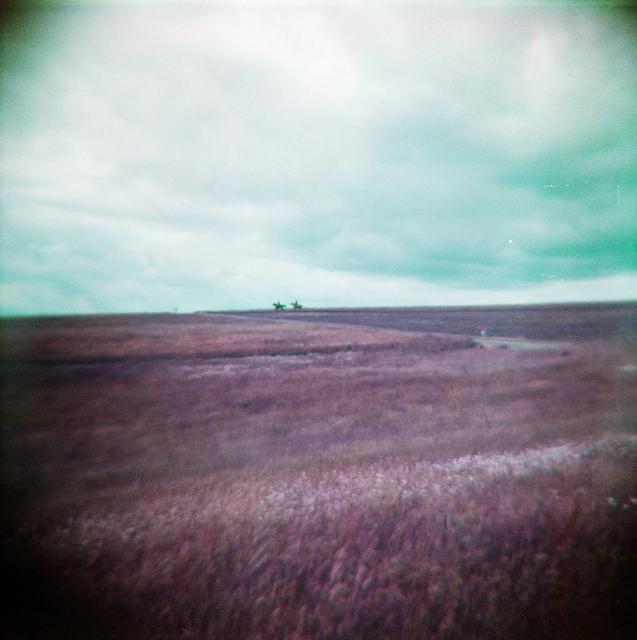 16_2026_DianaF+_LomoPurple200-8.jpg