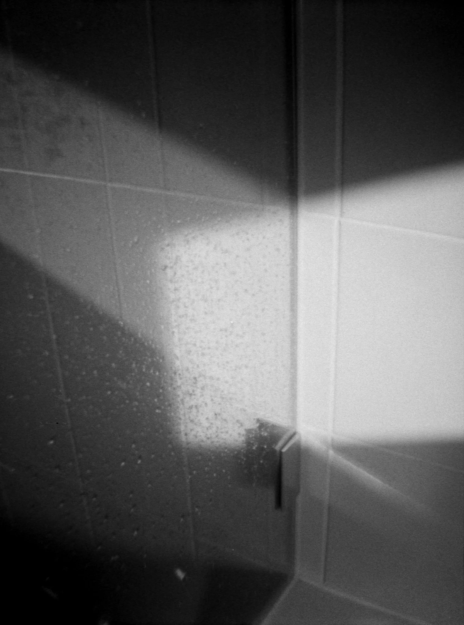 12_2026_DianaMini_Fomapan400-8.jpg