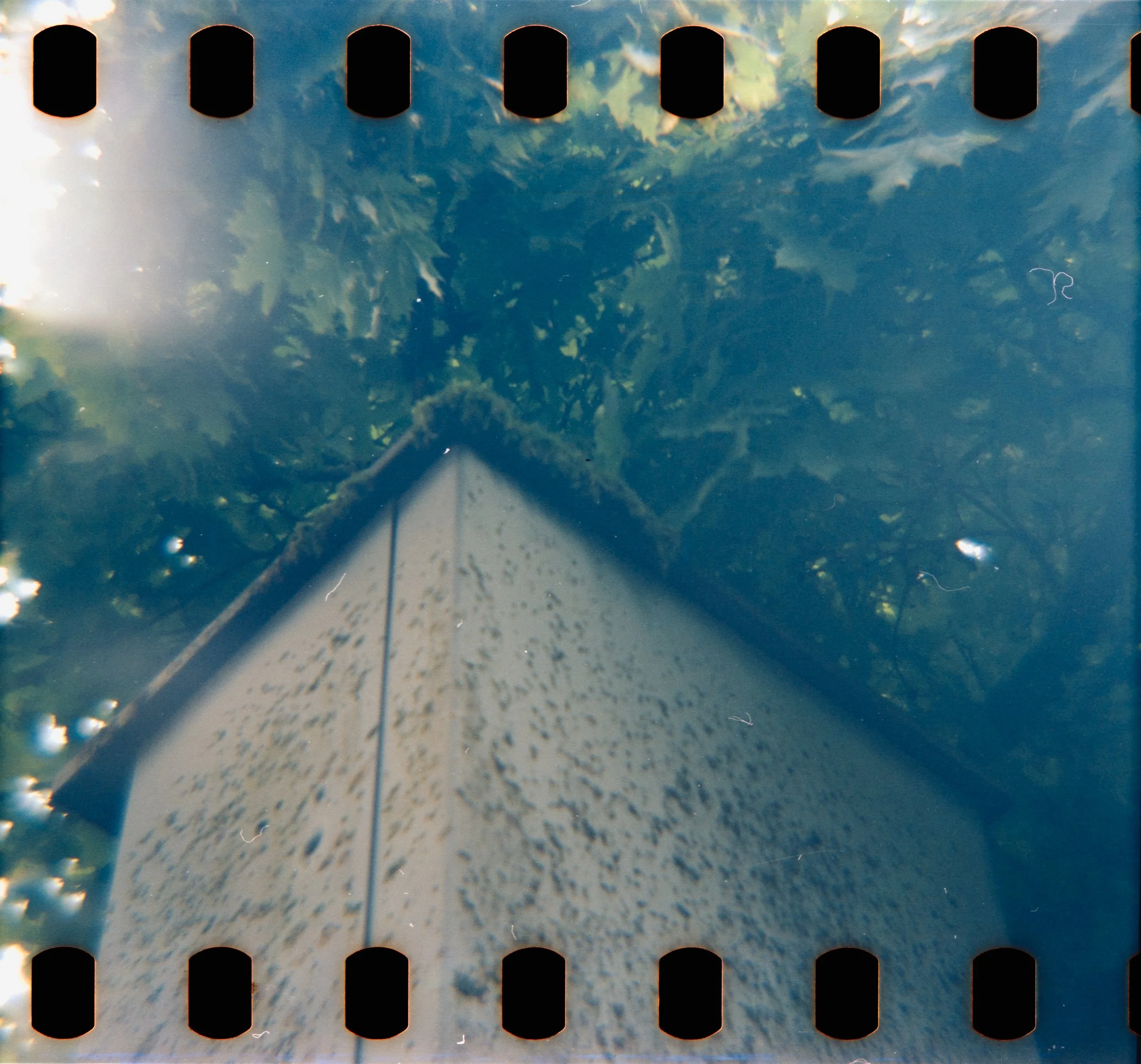DianaF+_Motion250D_10_2025-16.jpg