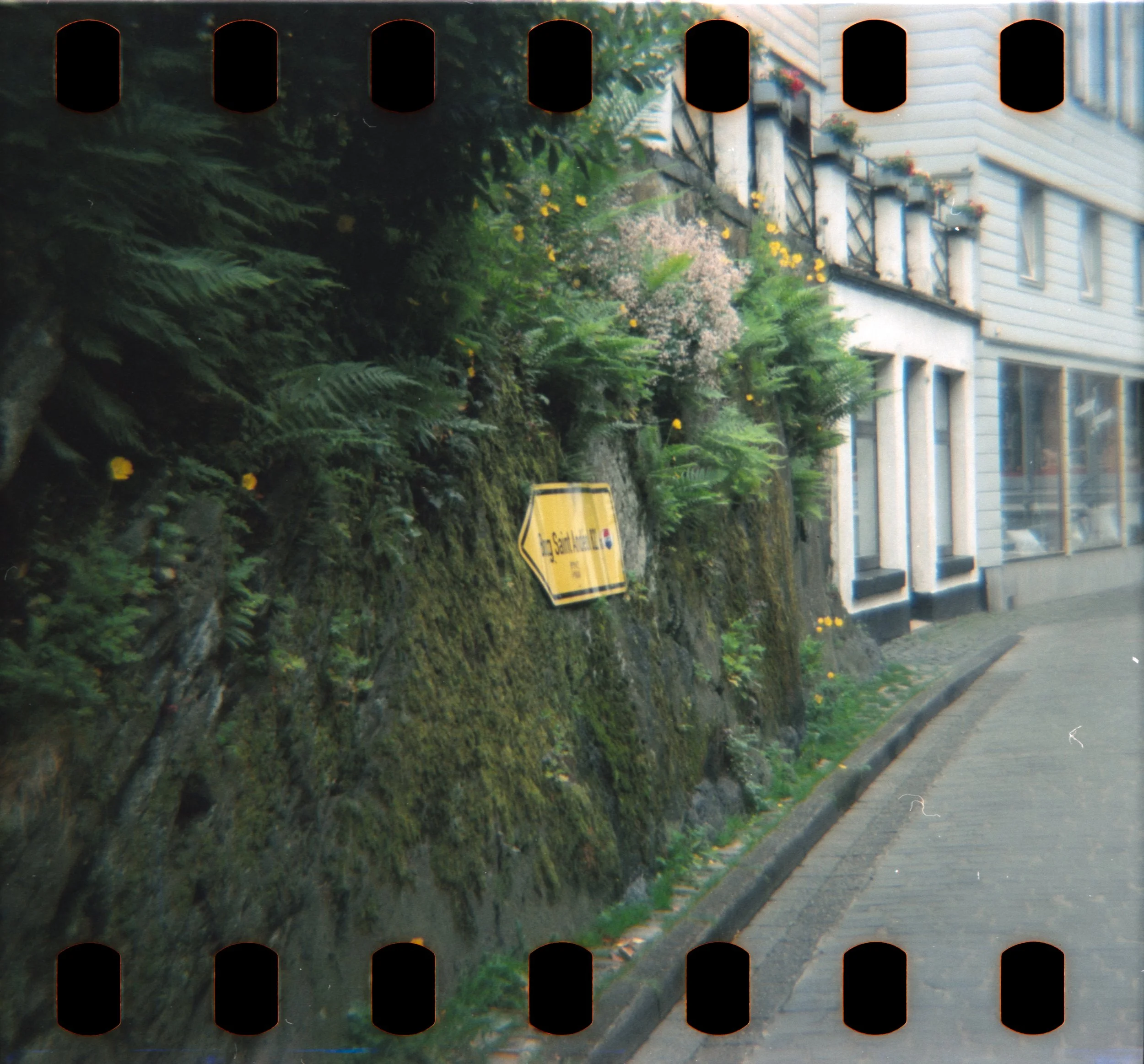 DianaF+_Motion250D_10_2025-25.jpg
